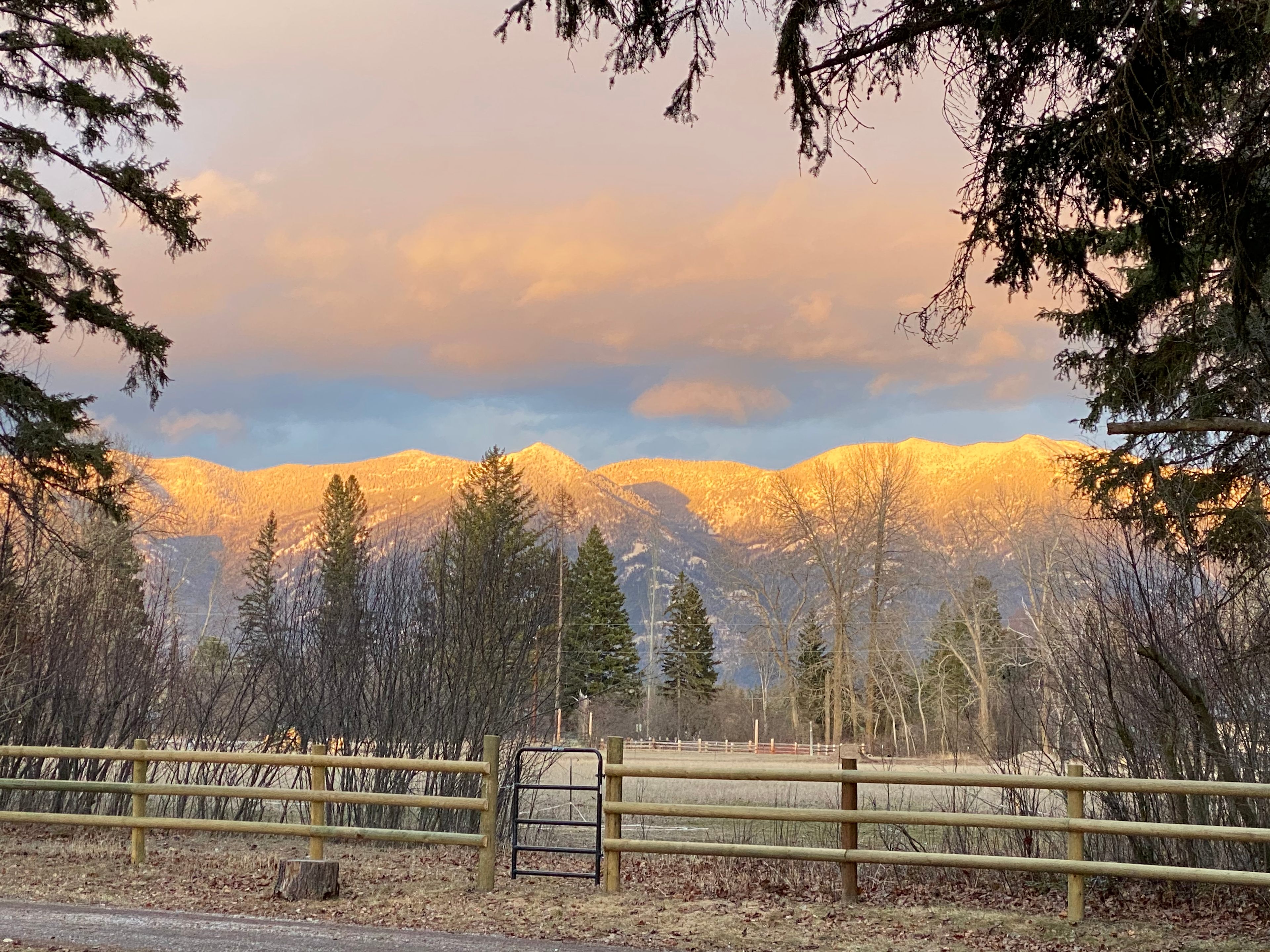 Swan Mountain View in the Valley