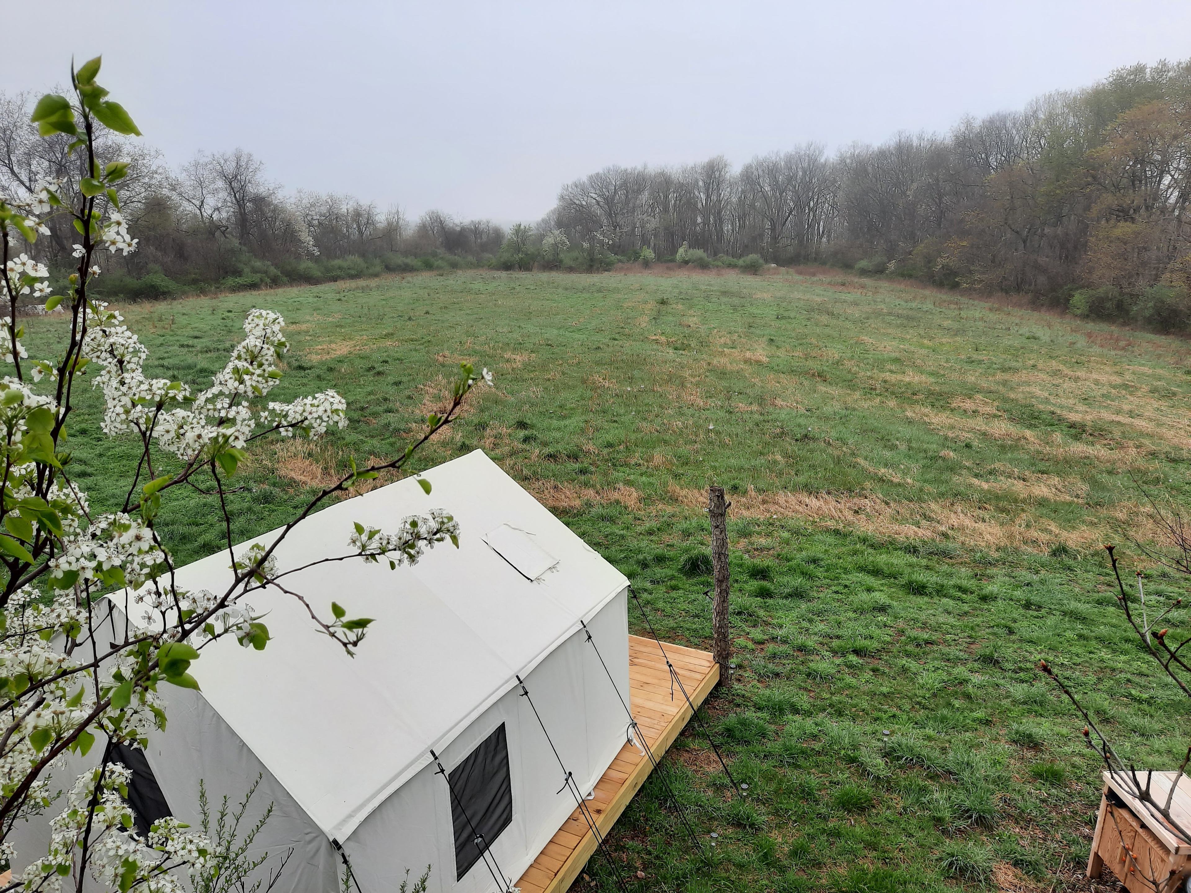 Rustic Resort at the Farm