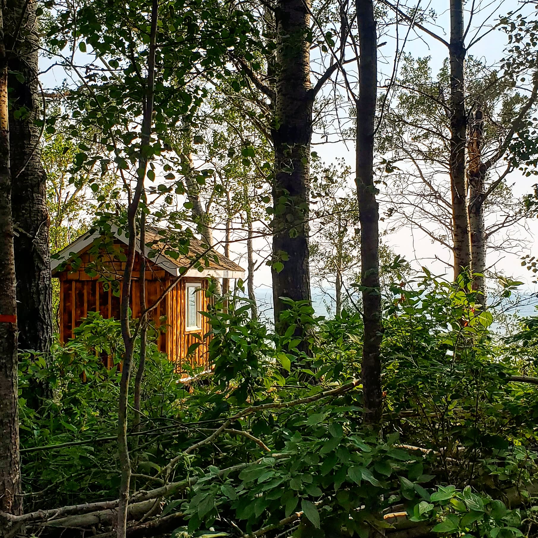 Homegrown Campground & Cabins