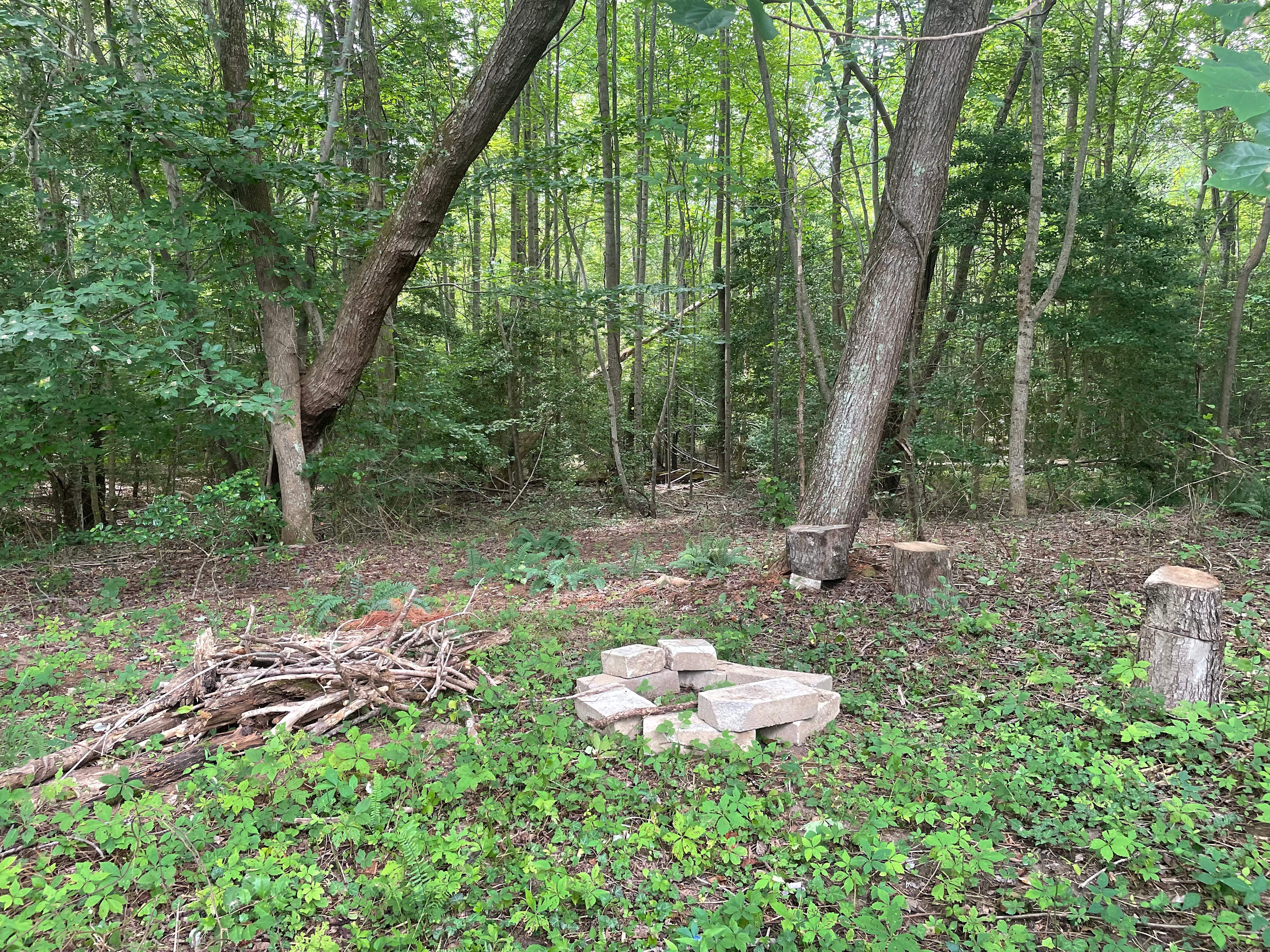 Wooded camping on 20 acres.