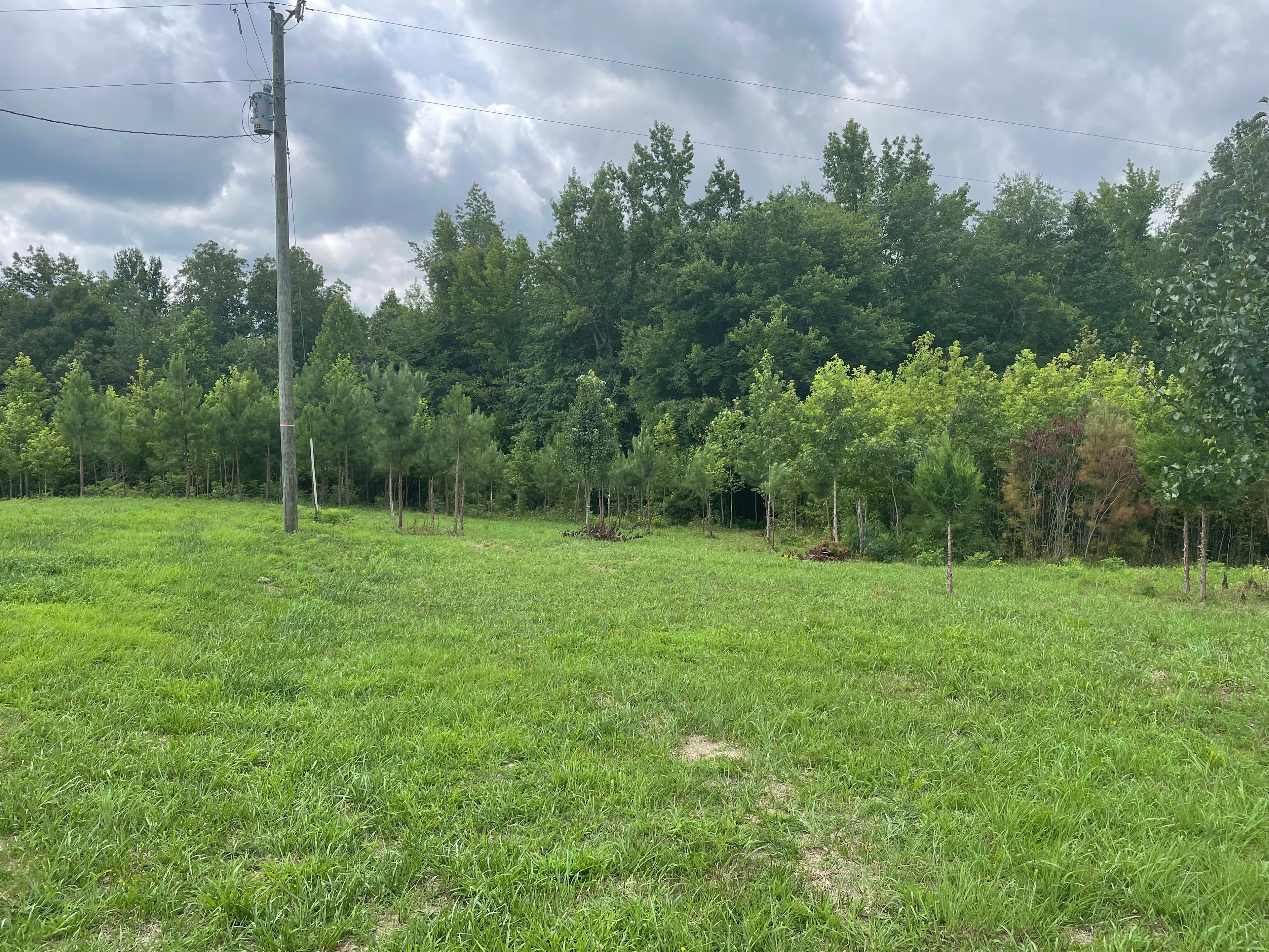Wooded camping on 20 acres.