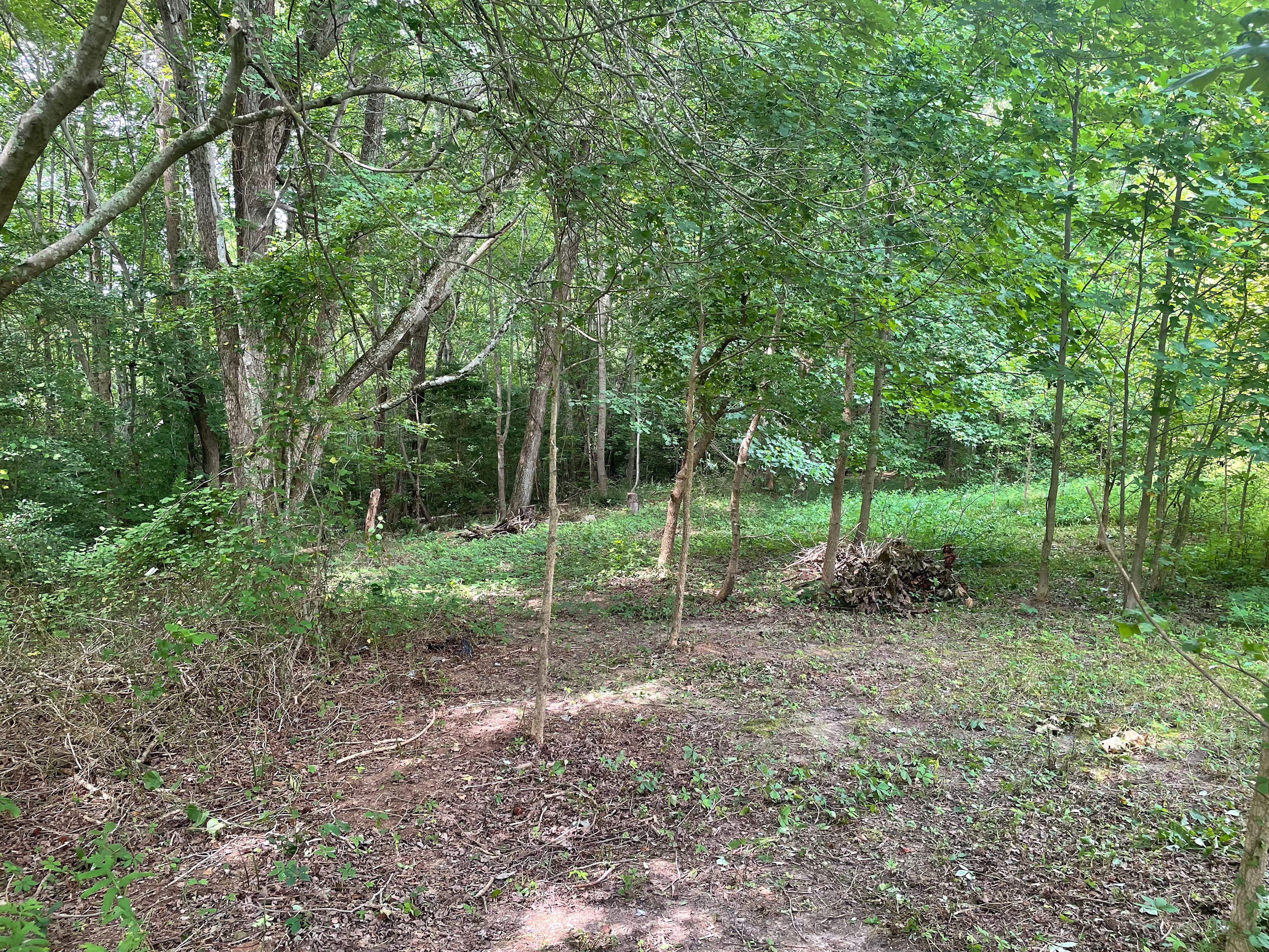Wooded camping on 20 acres.