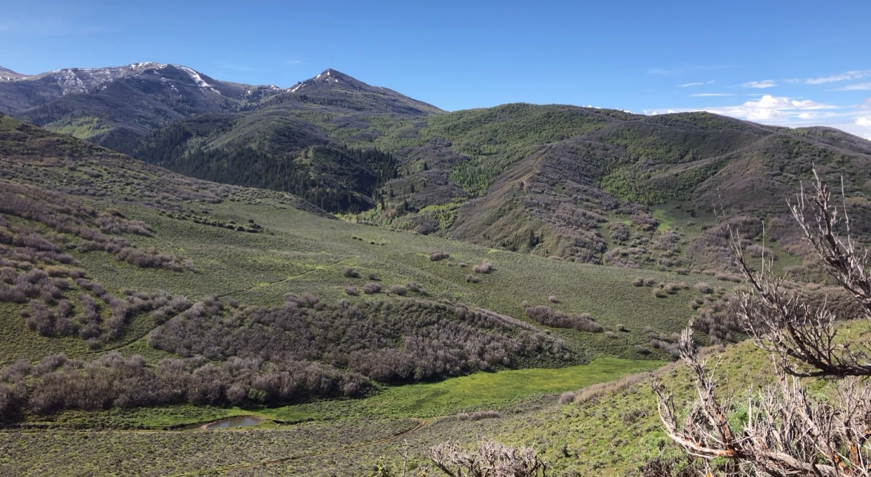 Henefer Valley Overview