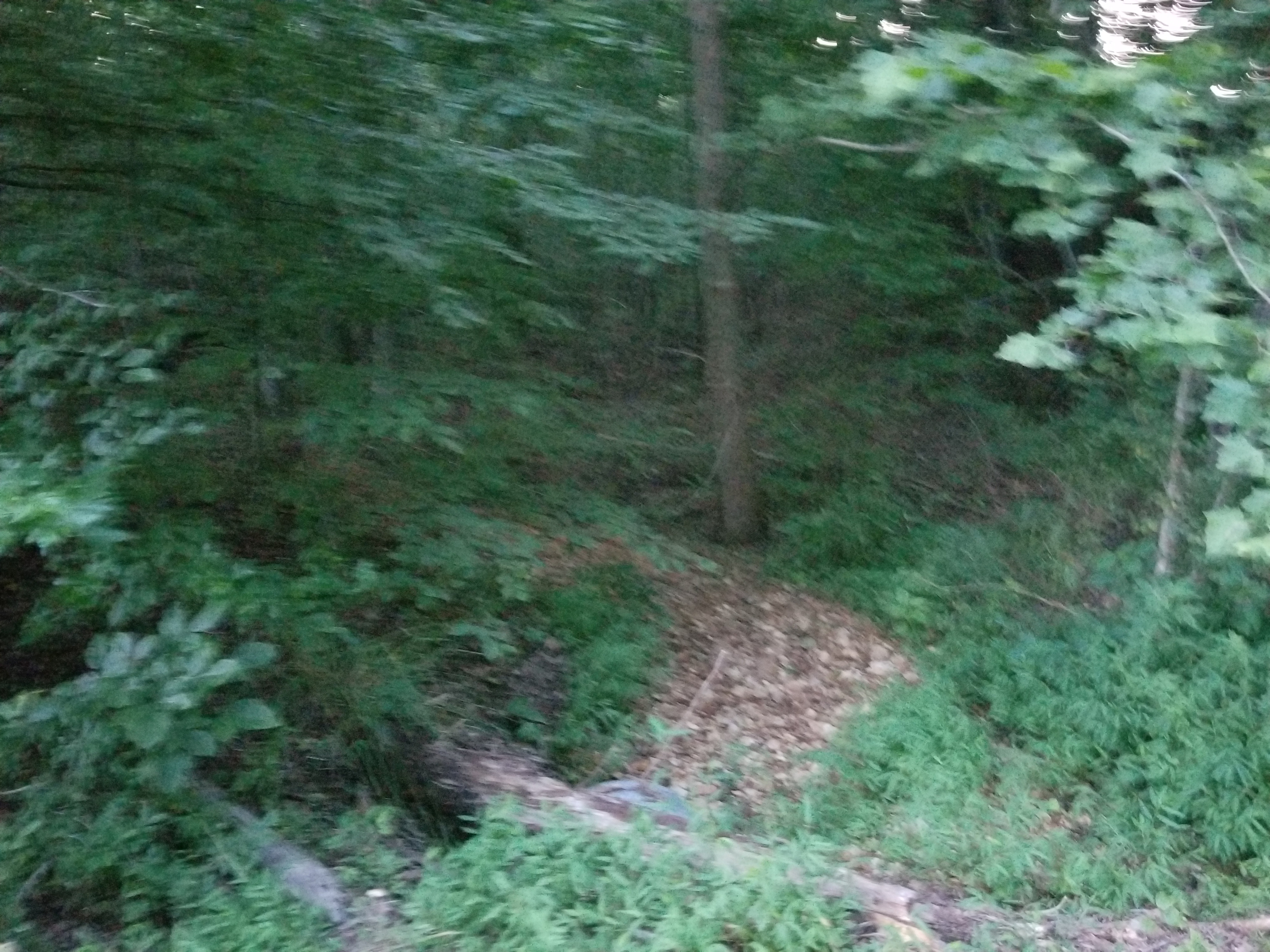 Lost  acres