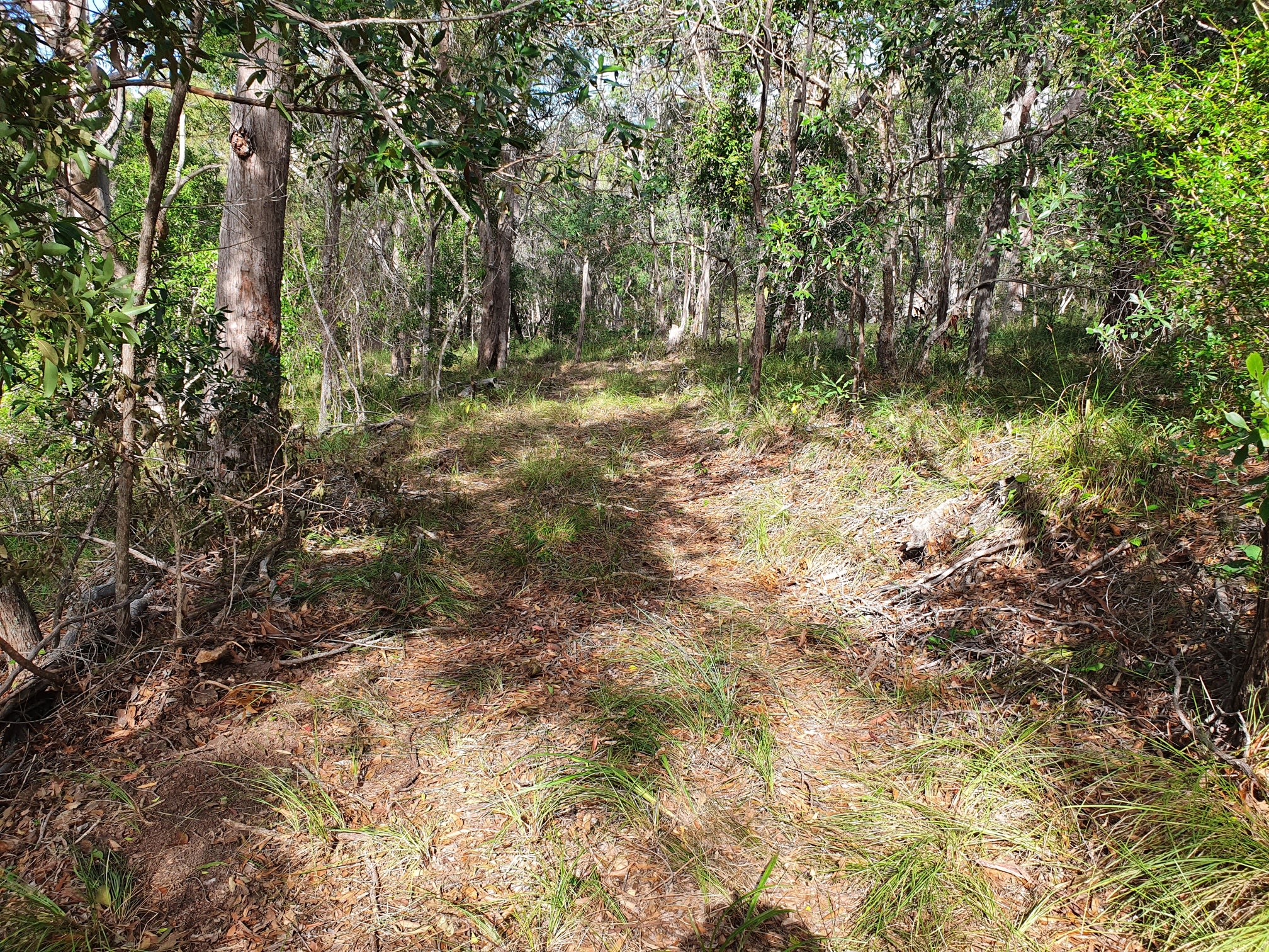 Agnes Park Enviro Camp