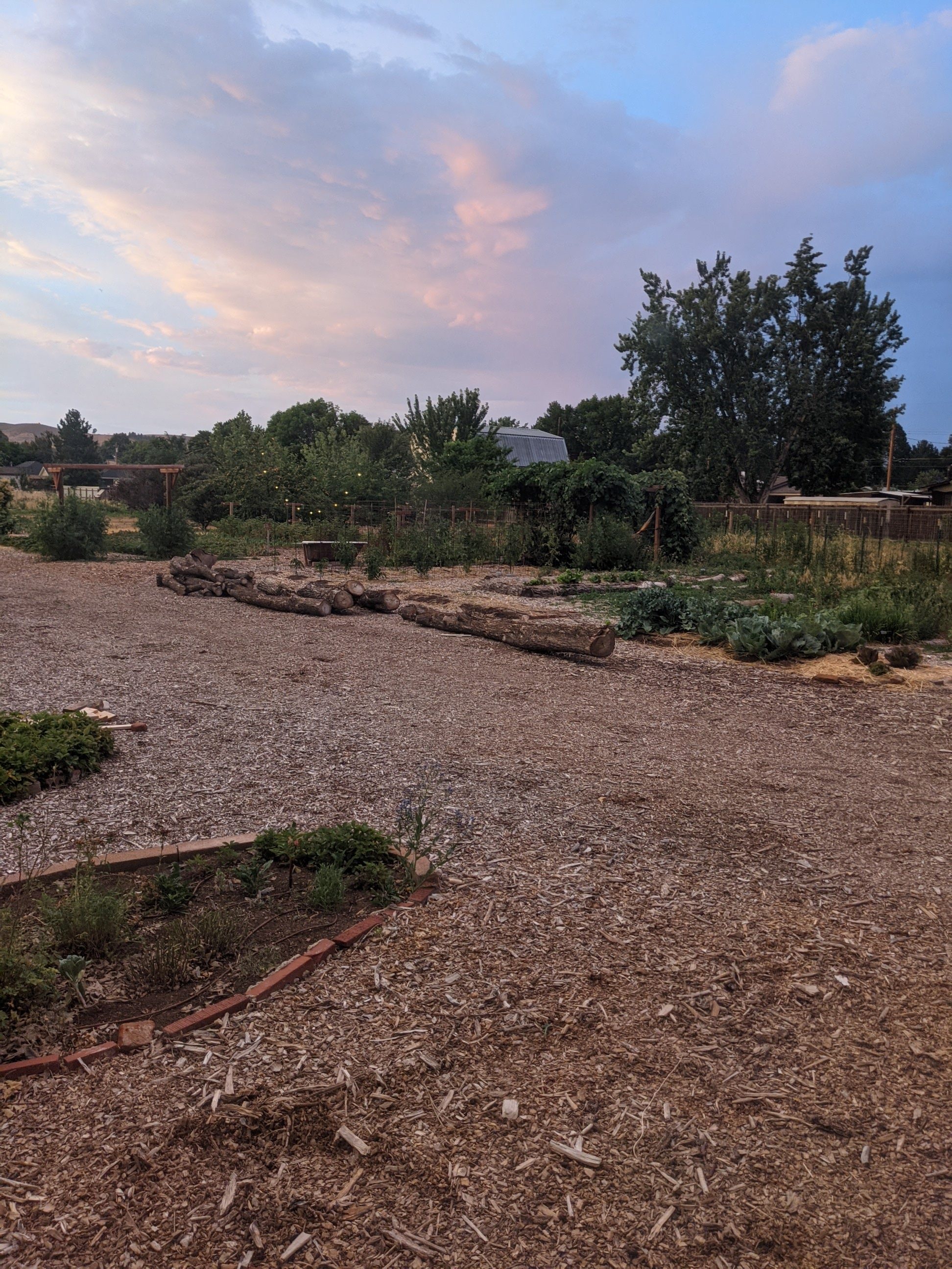 Butterfield Farms