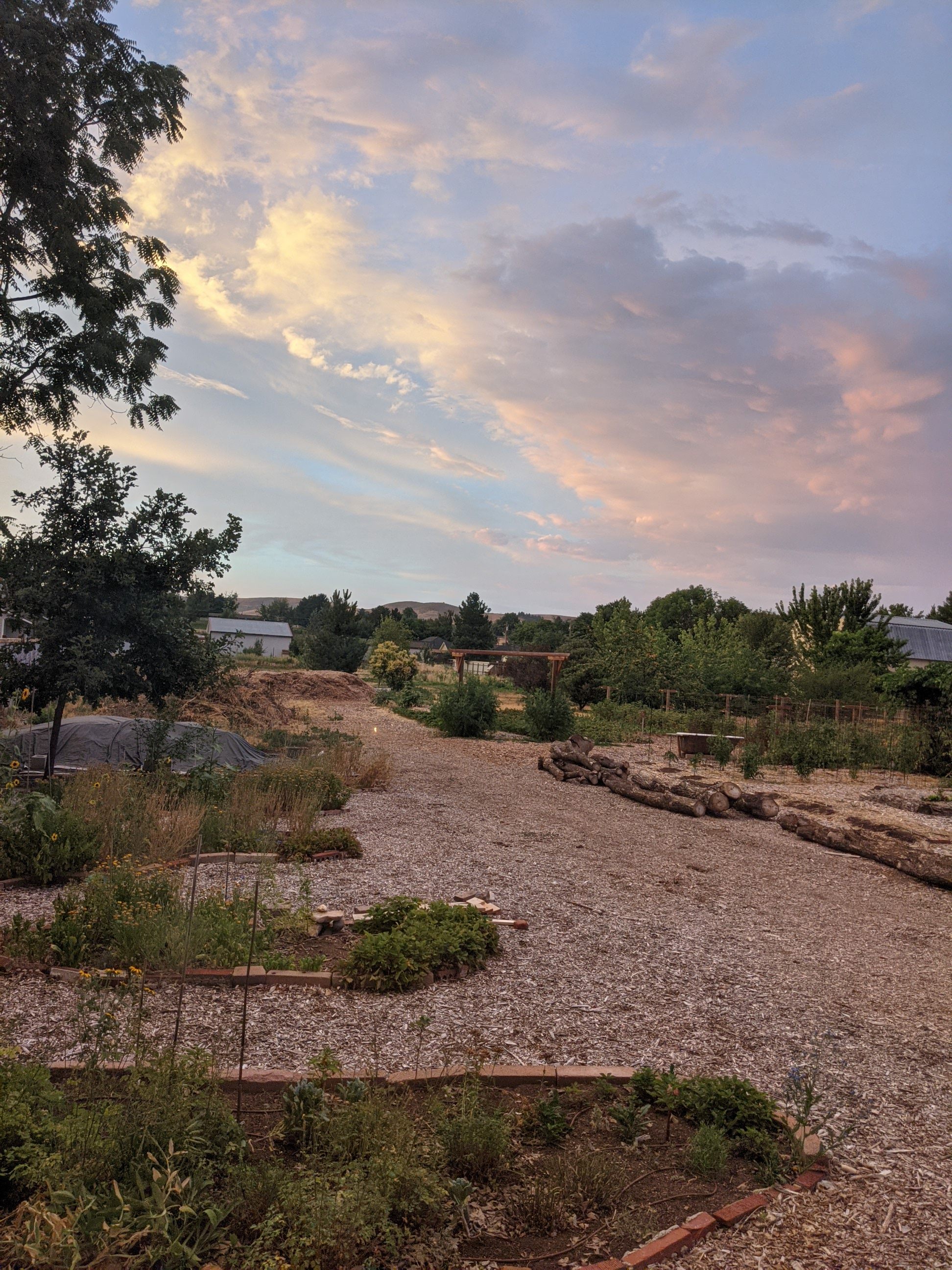 Butterfield Farms