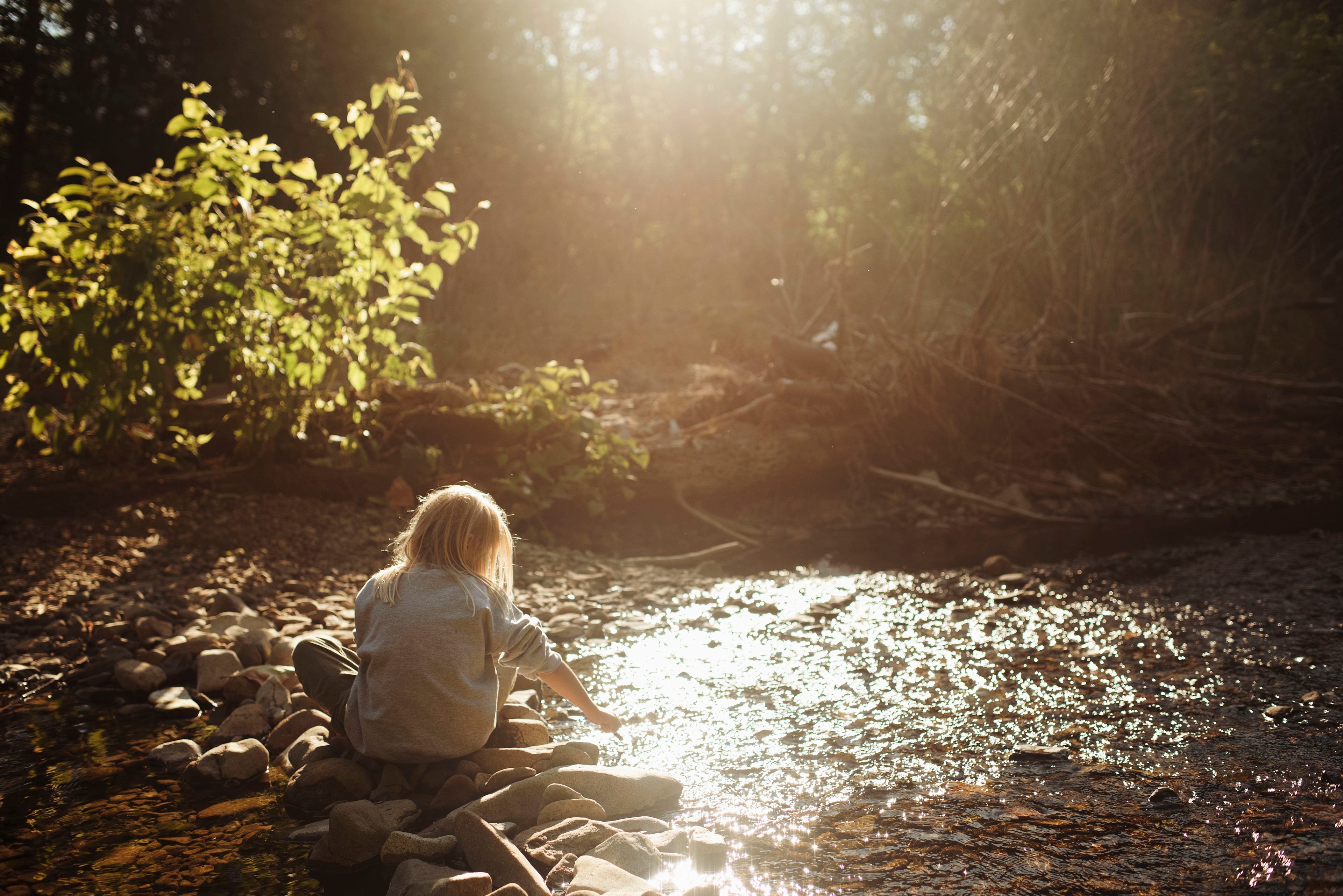 Wonderfully playful and relaxing creek to spend time exploring!