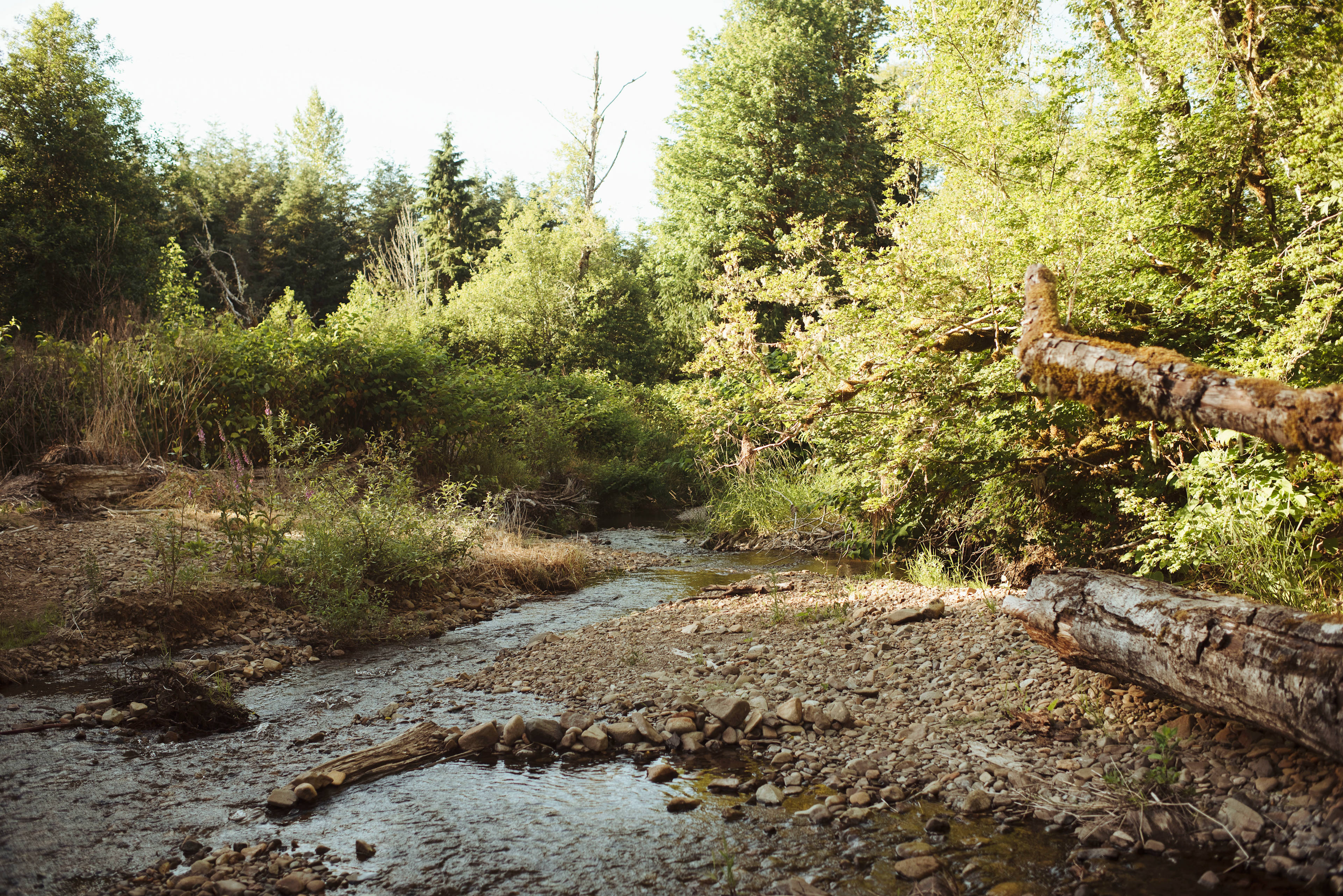 The creek feels very open.