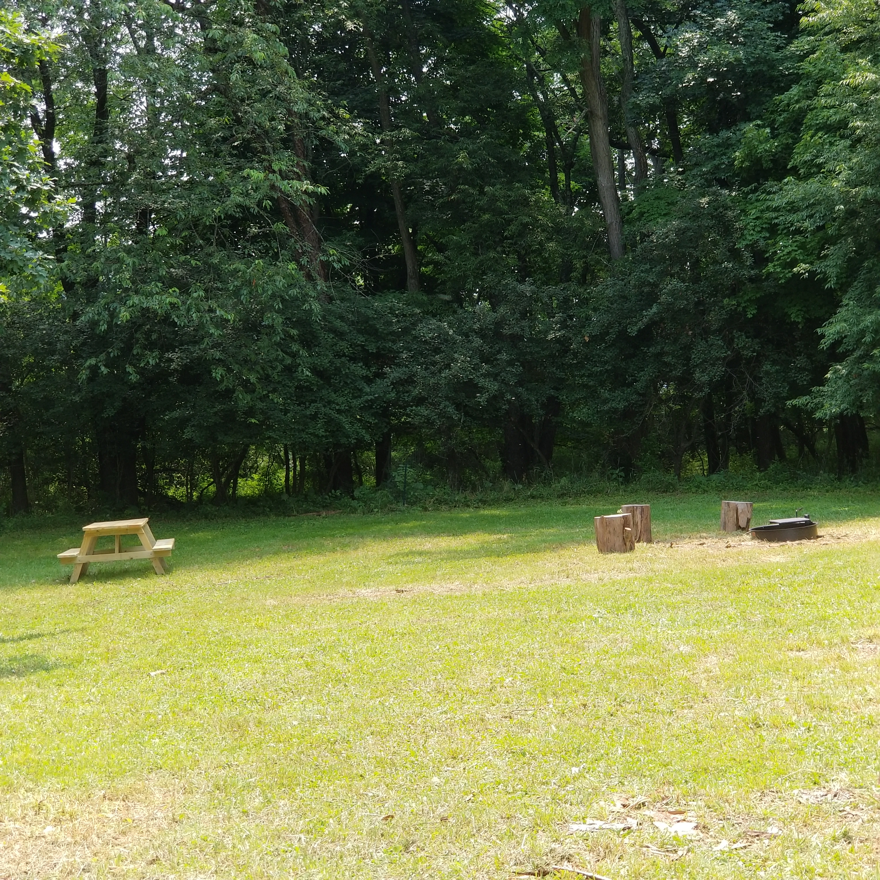 Apple Blossom Camp