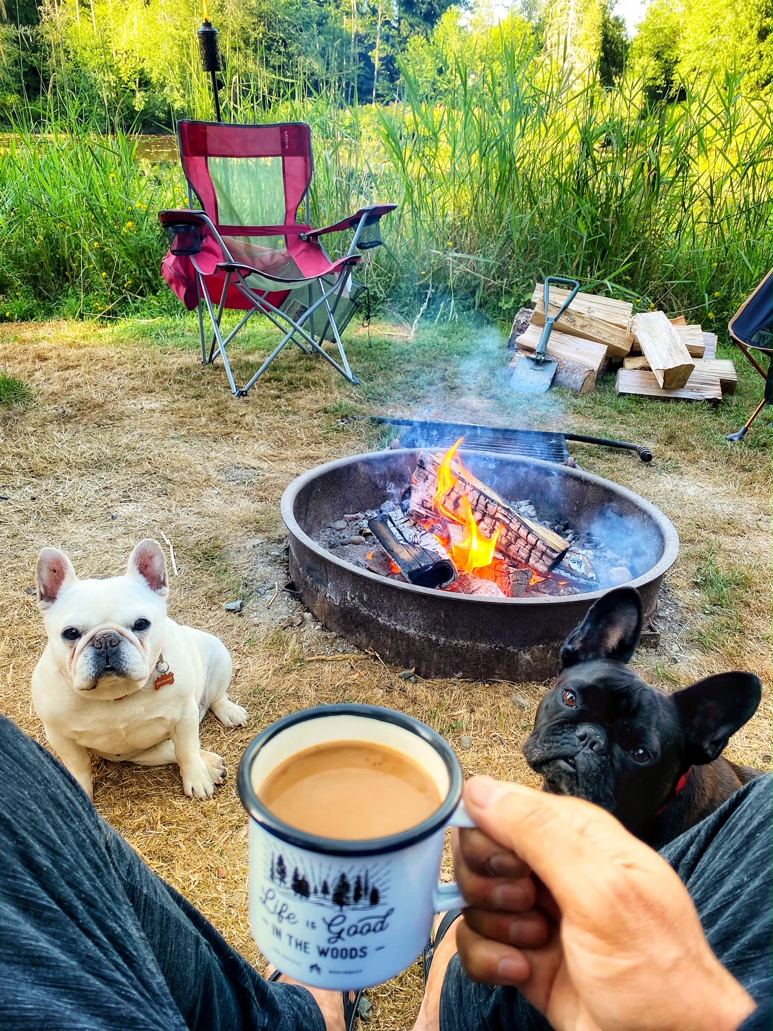 Dragonfly Campground