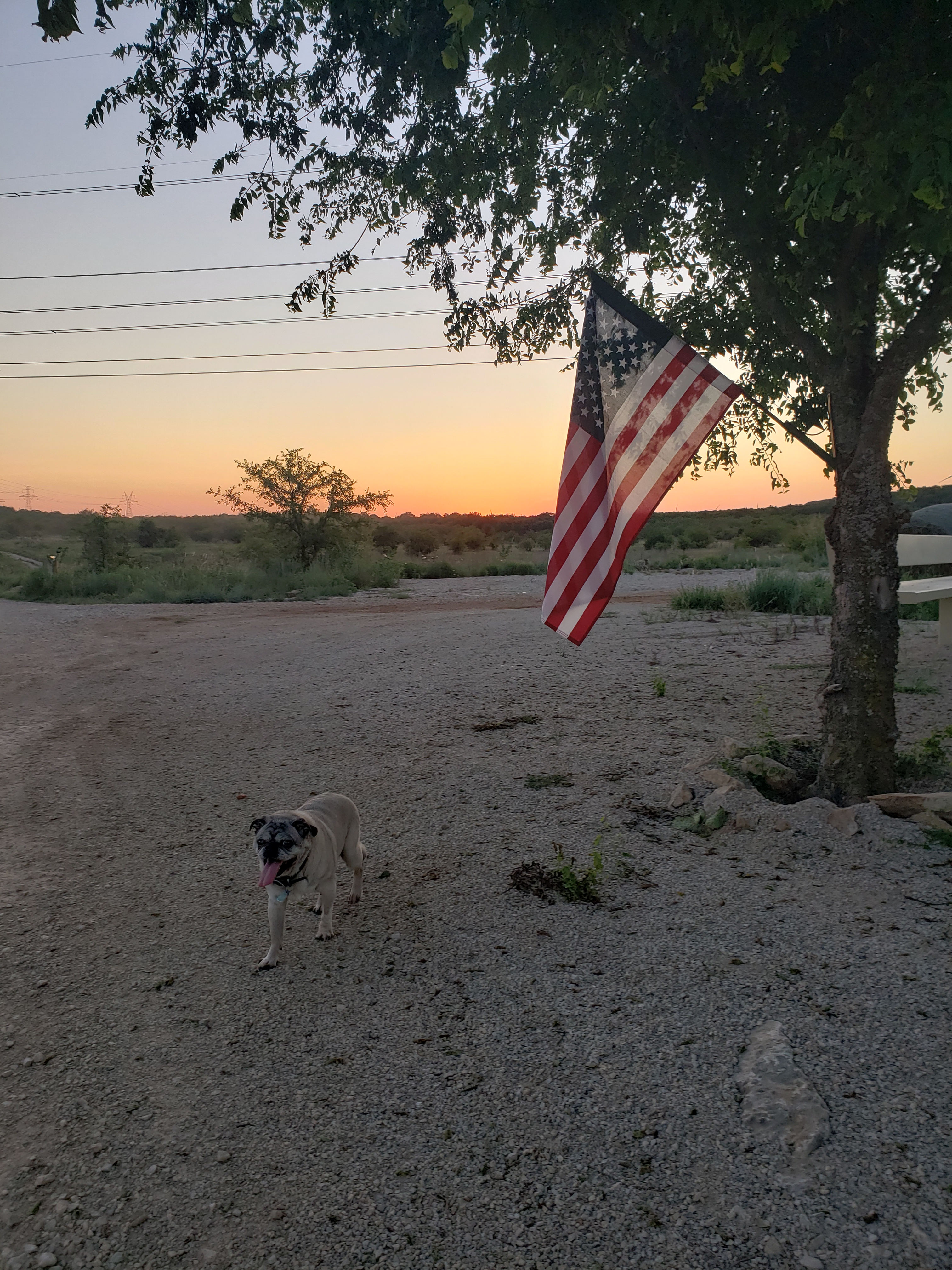 Lake Godstone™ Lodging and Camping