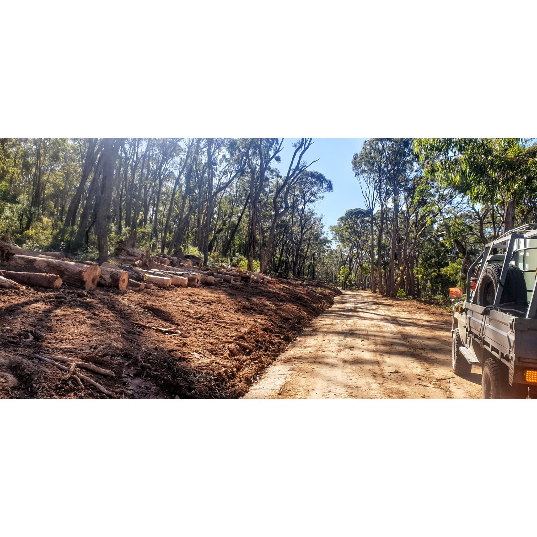 Monastery of 11 Strings