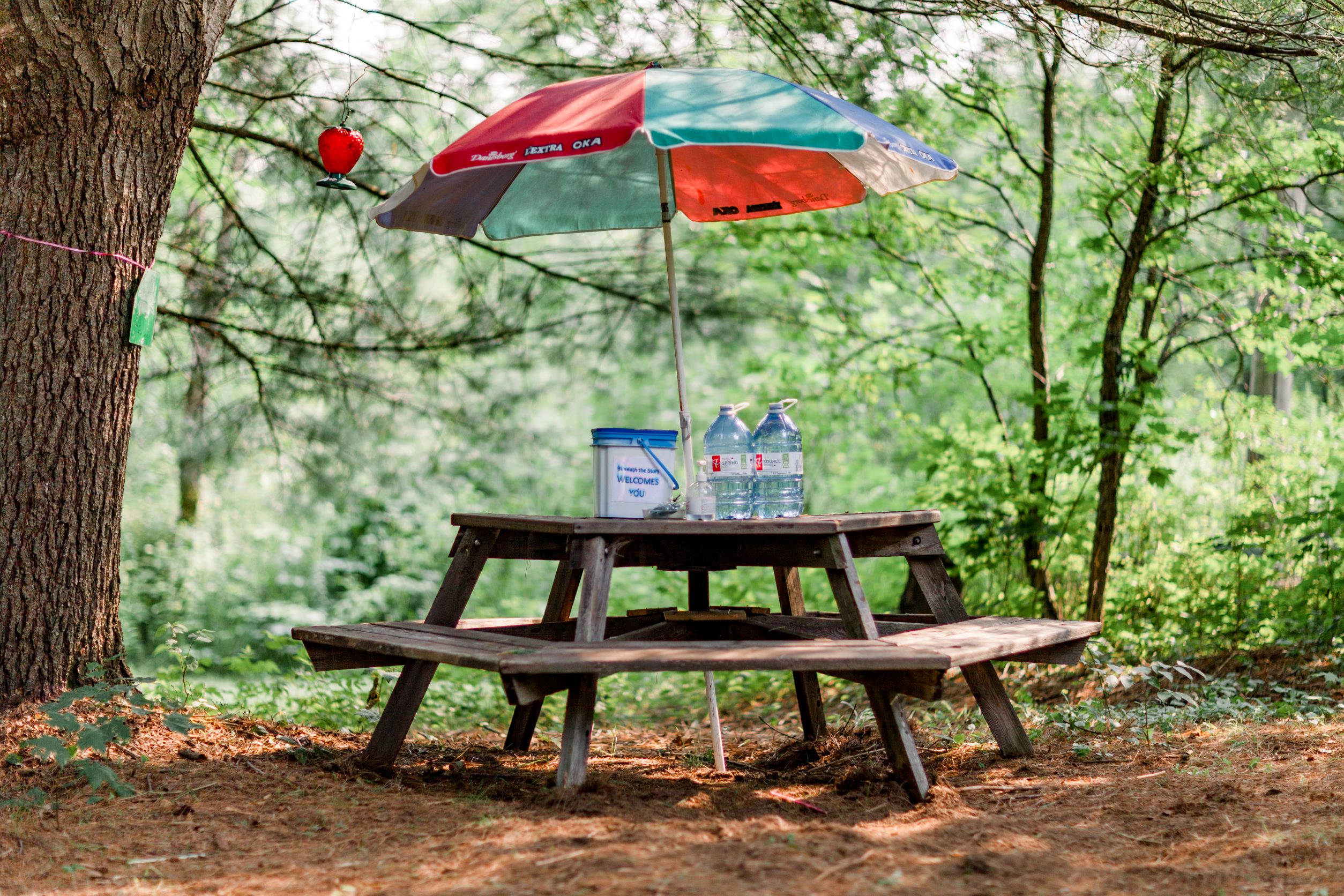 Picnic table with umbrella with water bottles, sanitizer, and welcome package found in blue and white bin.