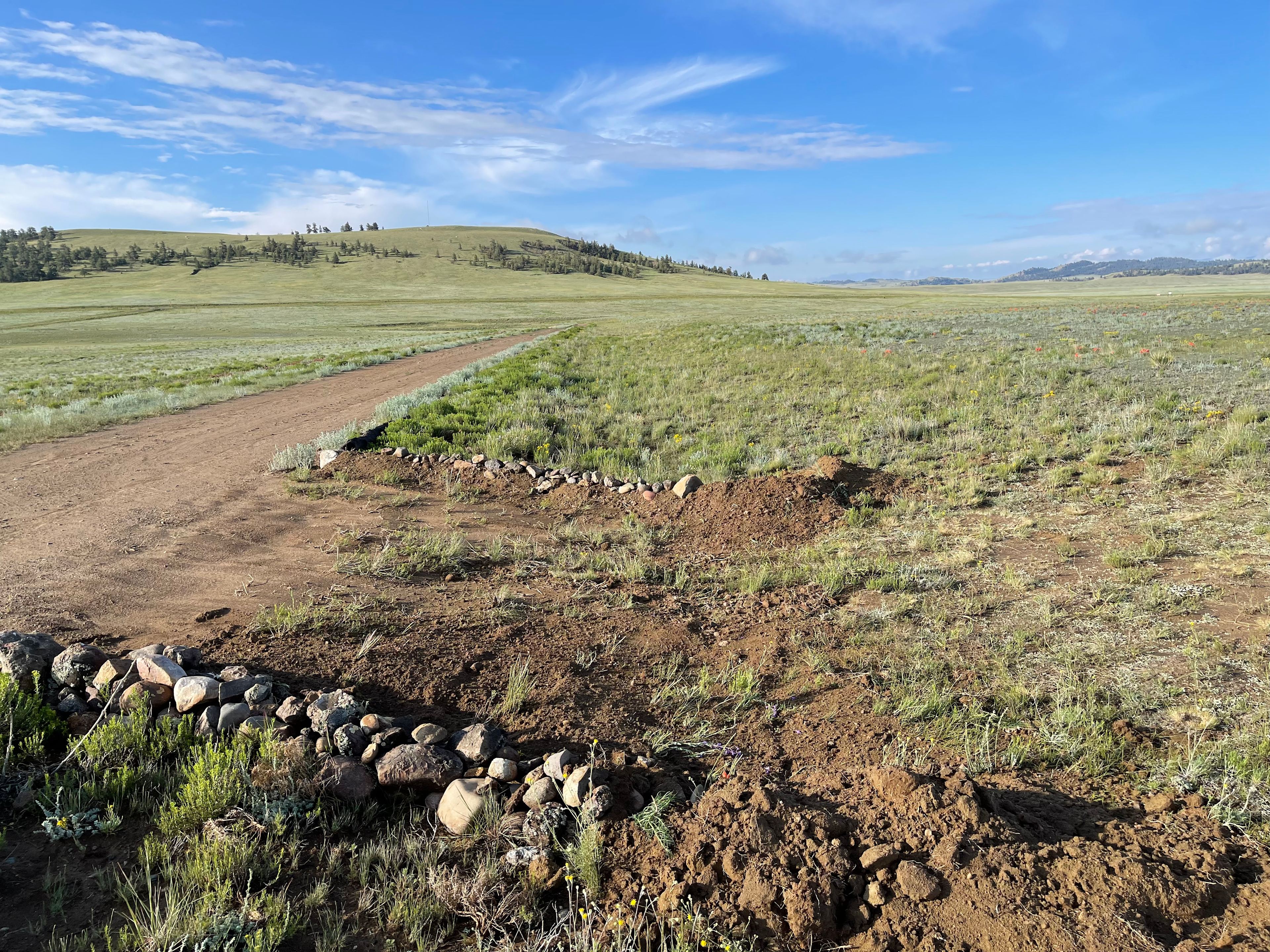 Driveway from the side......