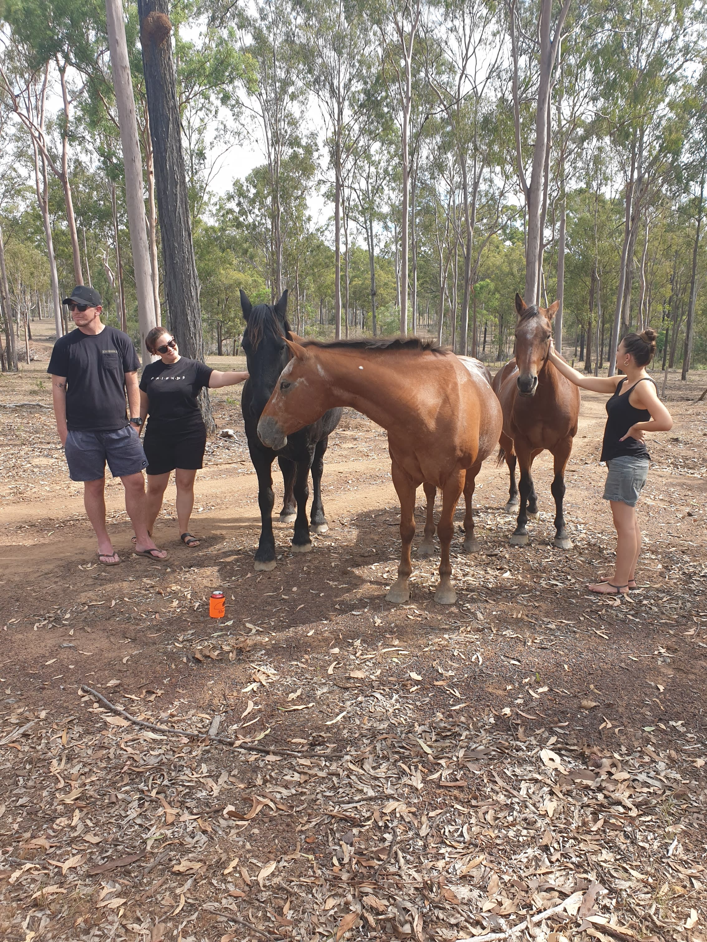 Peaceful Bush Camp-Wrinkles