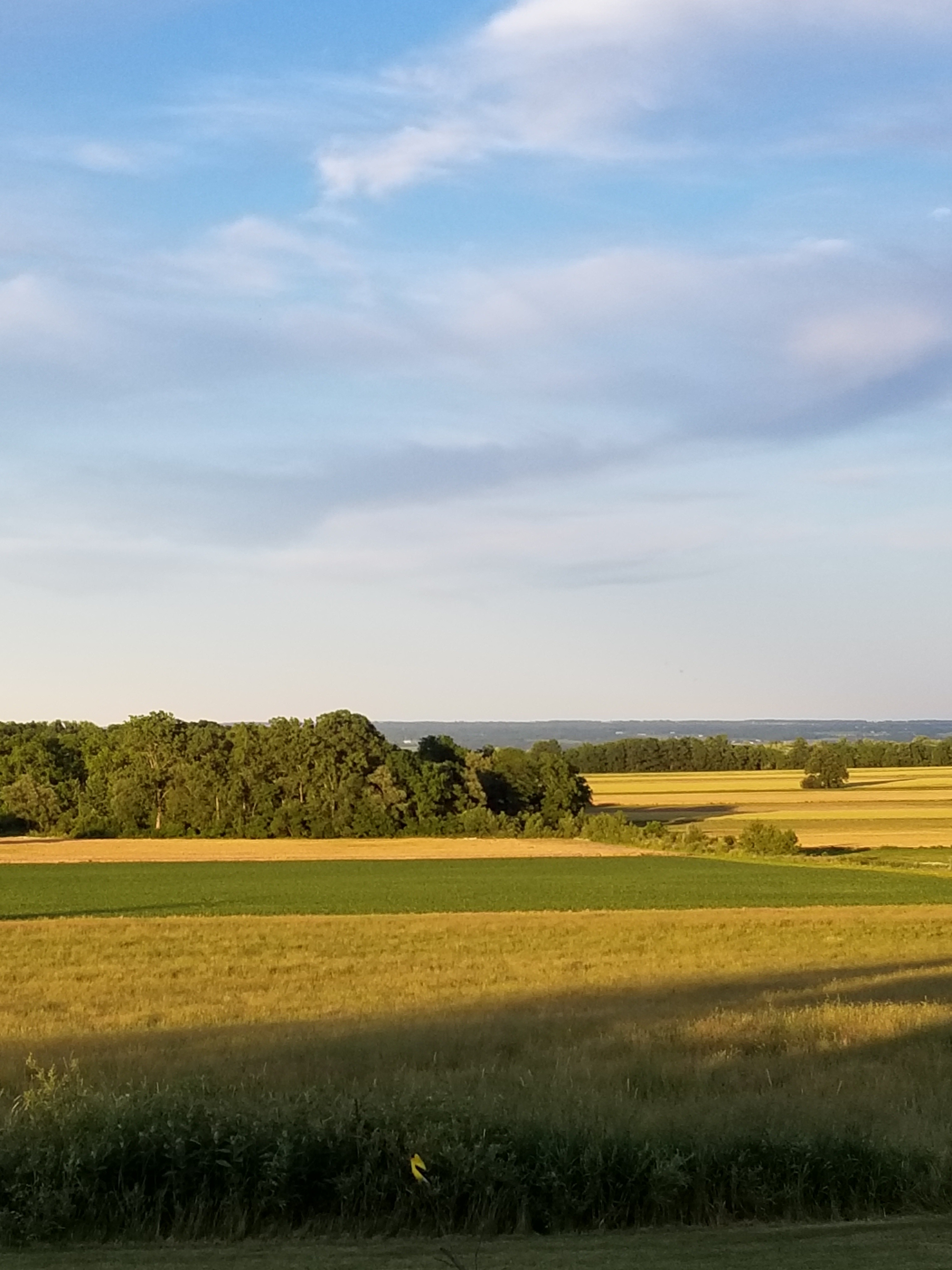 Yost Ridge in the Finger Lakes