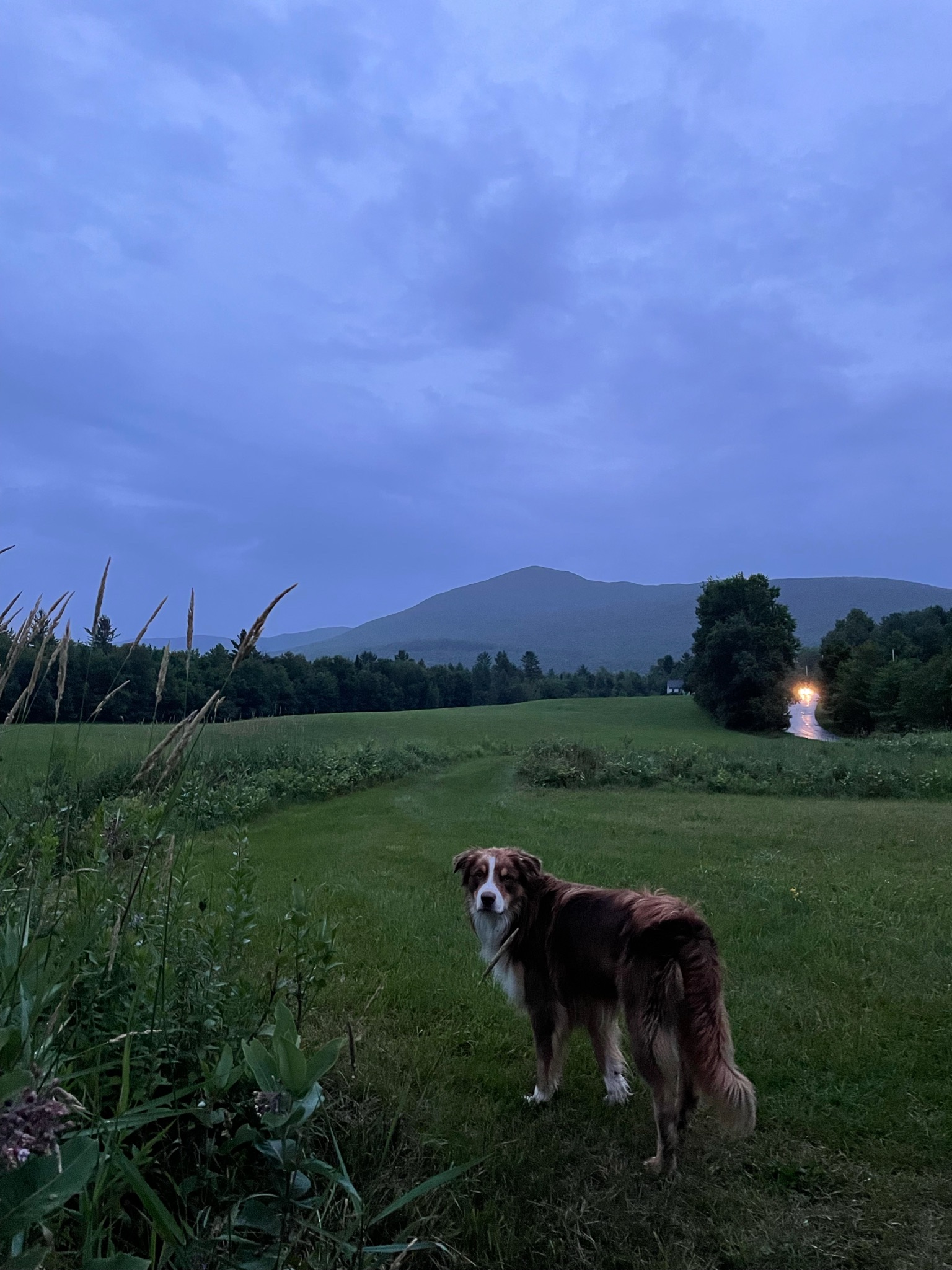 OneRiver Farm, Lincoln, Vermont