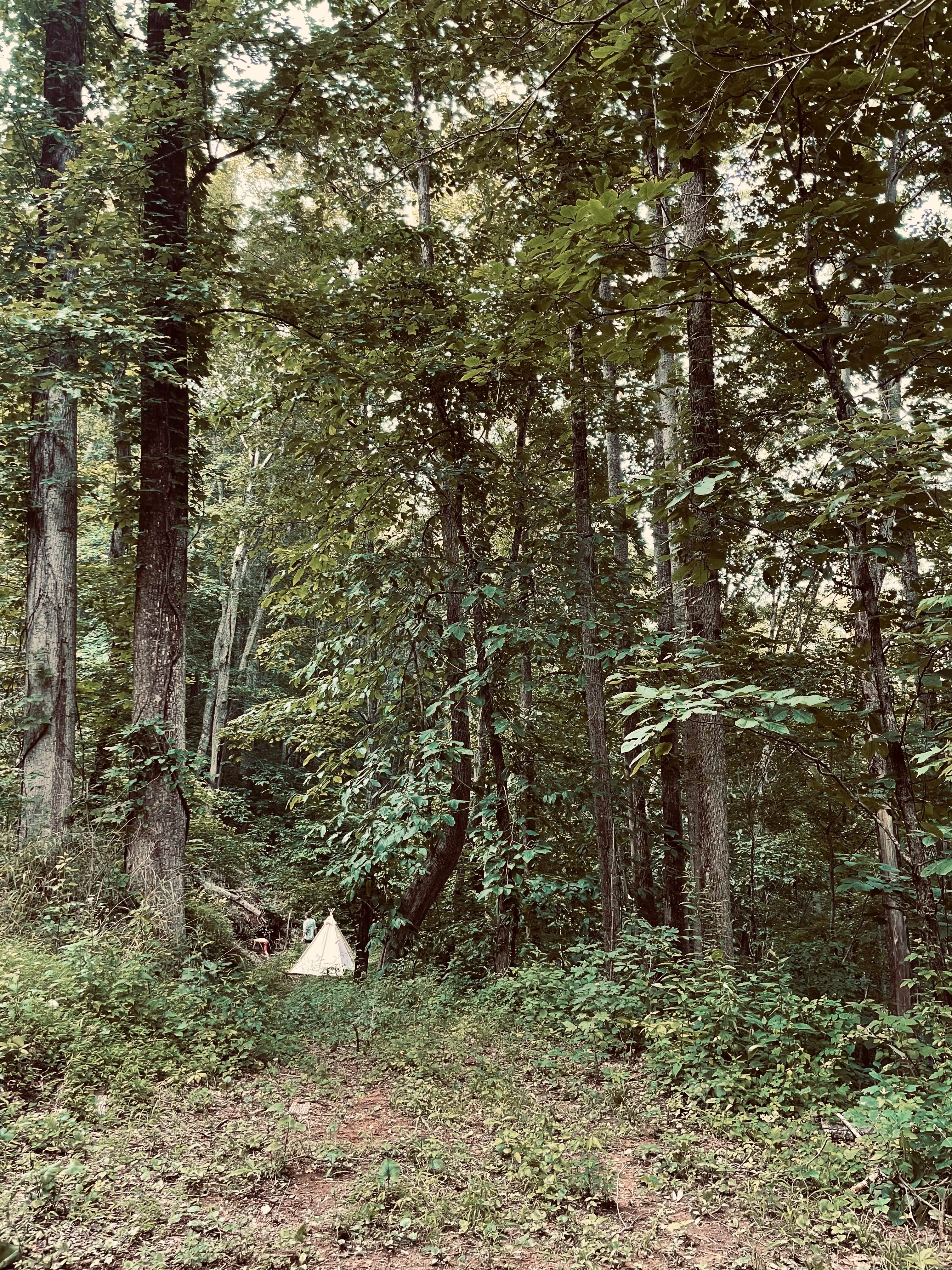 from the parking area