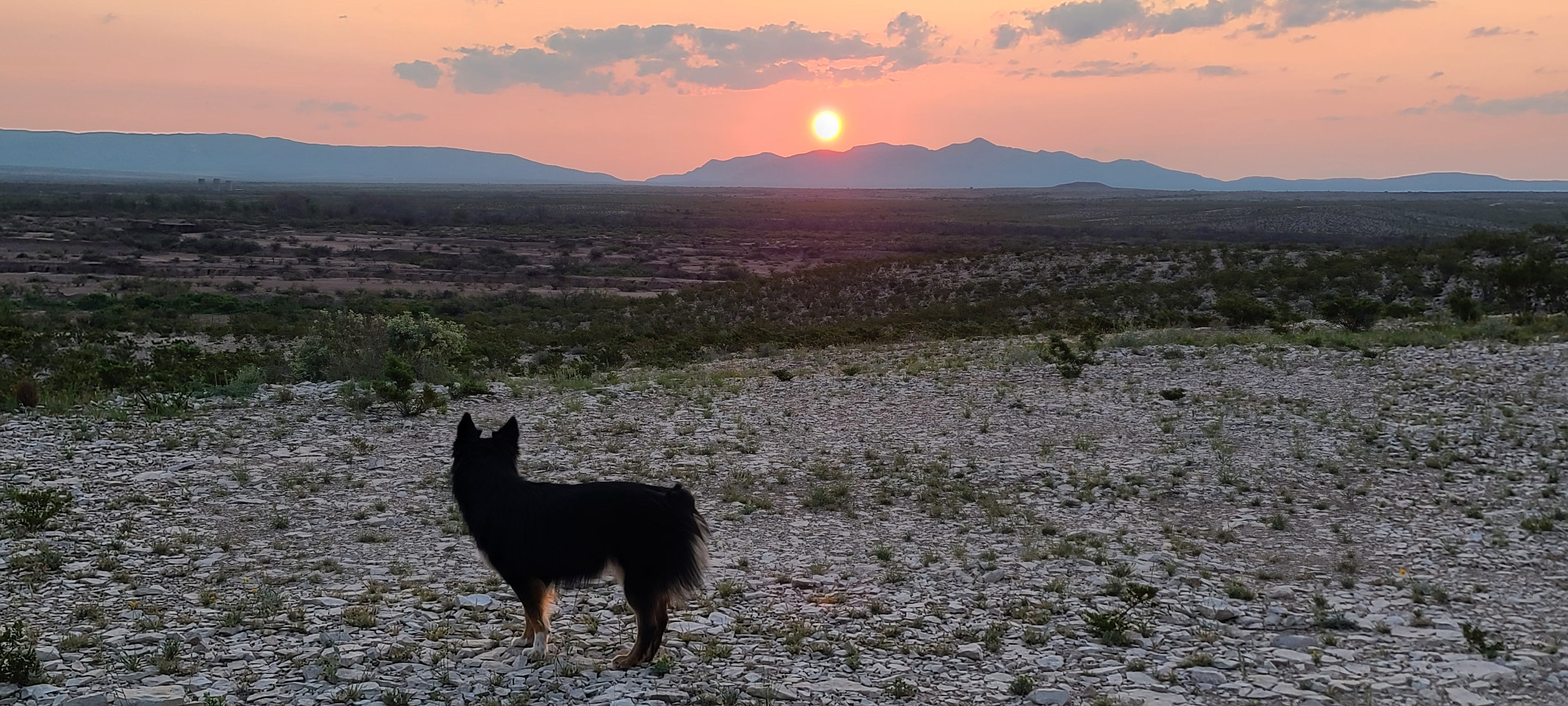 View of the Del Norte Mountains from Saddletramp Ranch