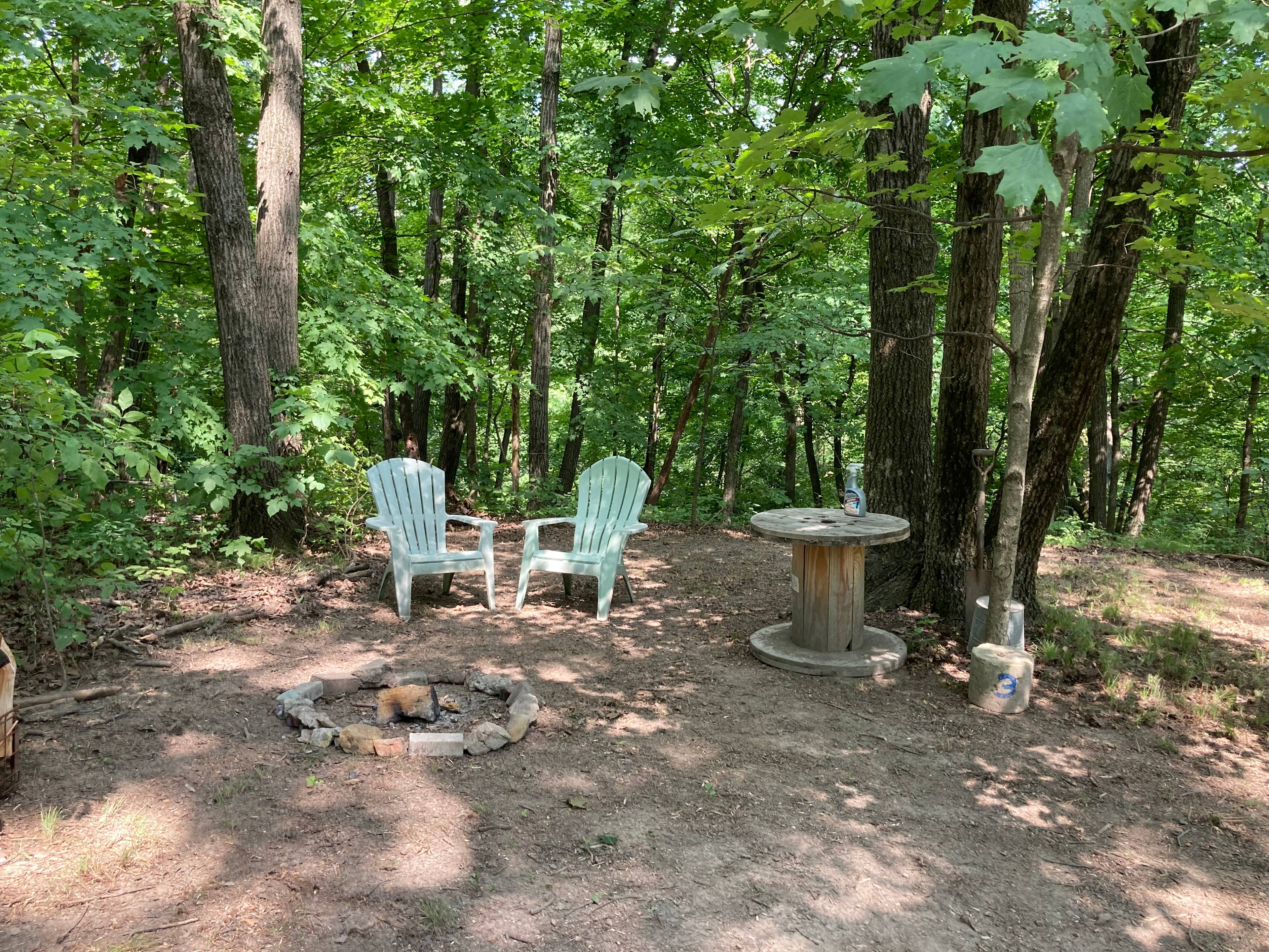 Welcome to our Magical Woods