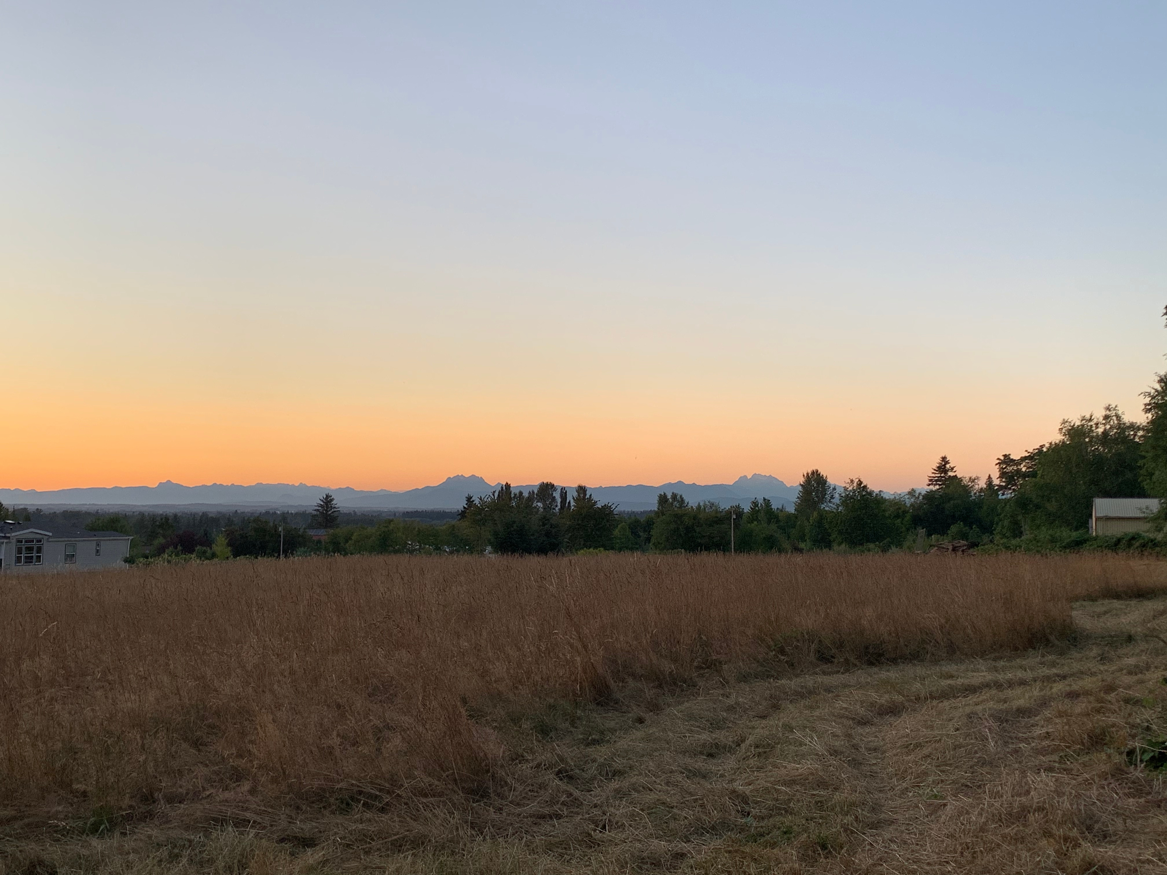 Views of the Canadian mountains from the meadow.