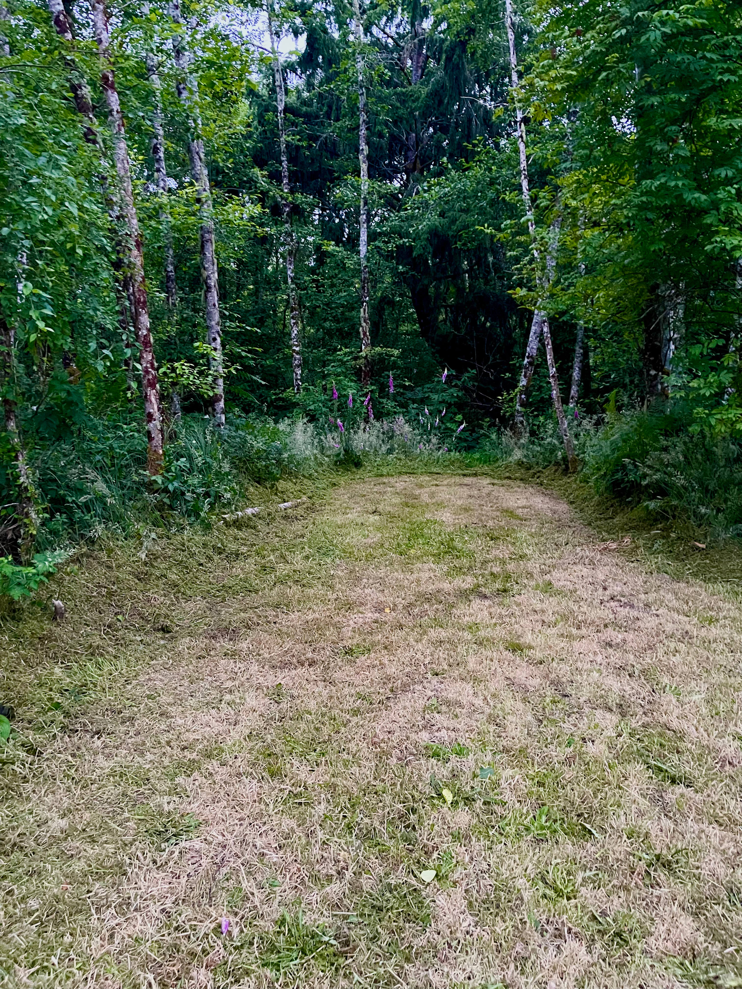 Beach Camp - Long Beach Peninsula