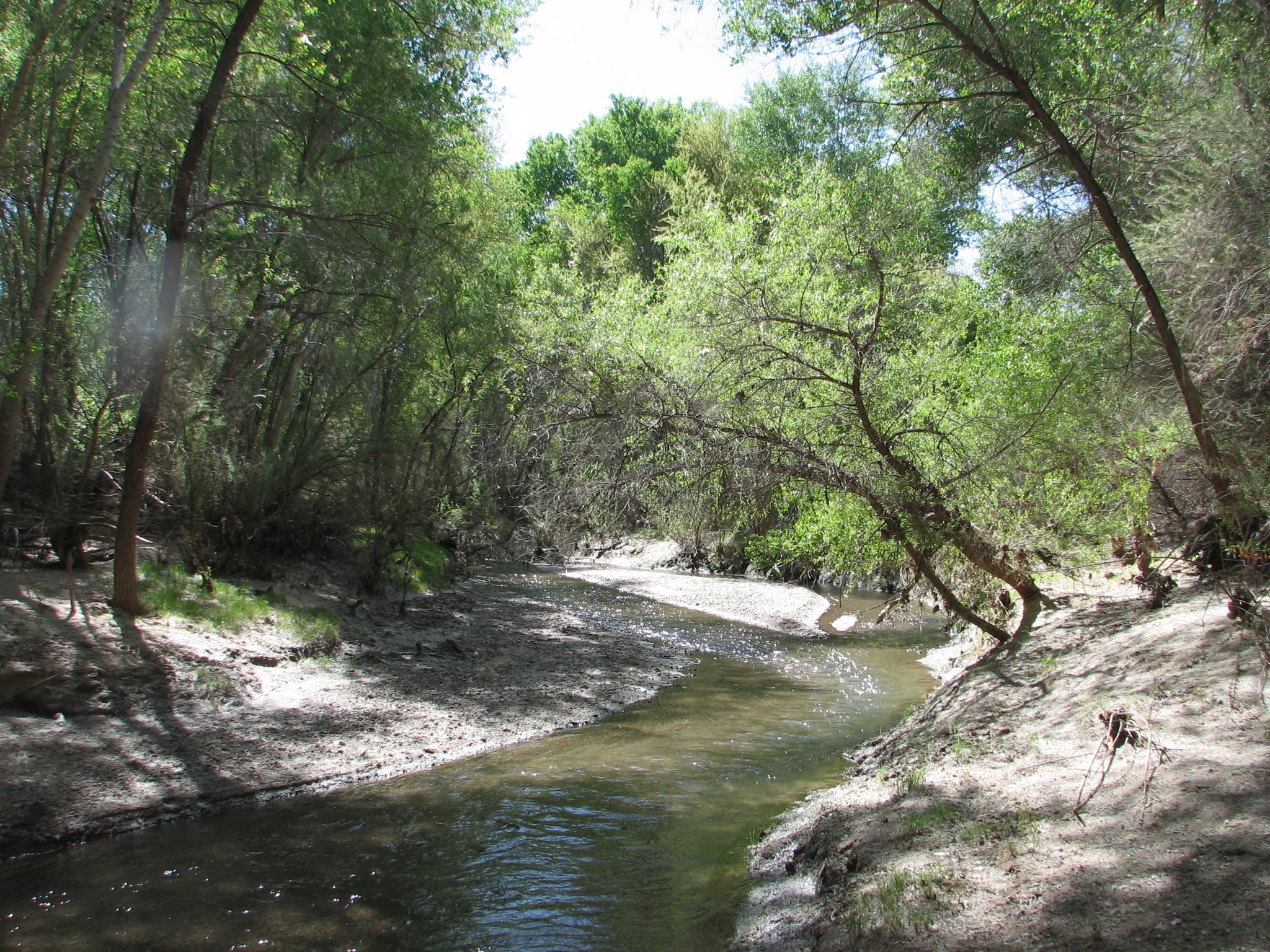 Paul S.’s Land