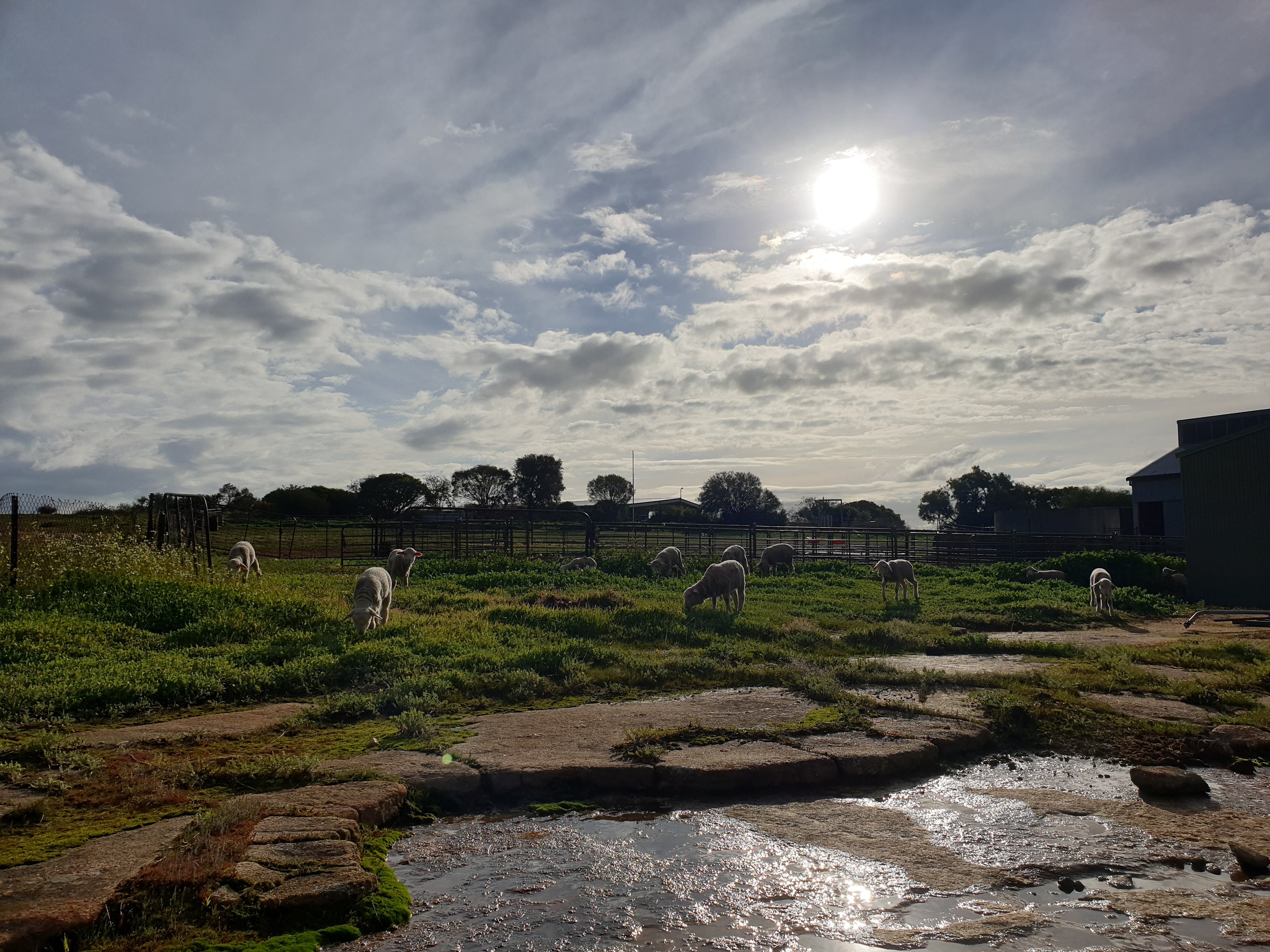 Fish, Fibre & Forage Farm at Tammin