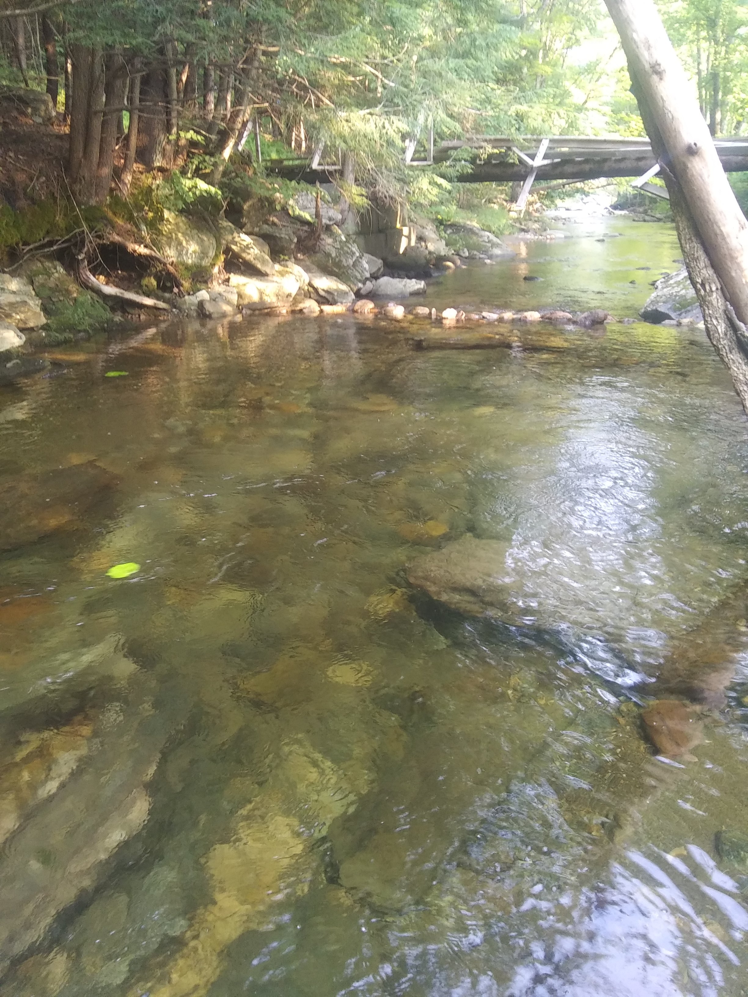 Binney Brook on property