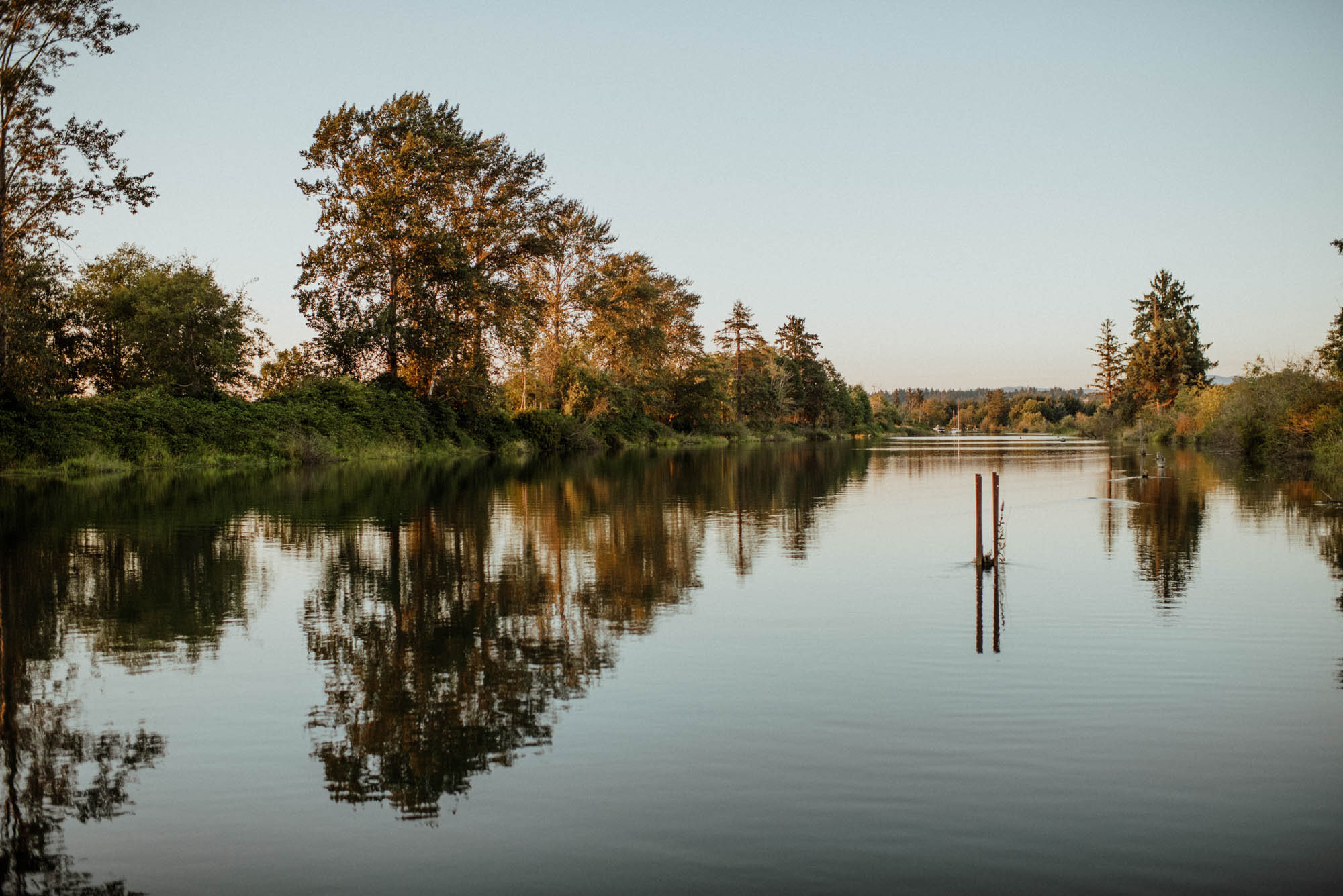 The view of the river looking back towards where we camped on the property. 