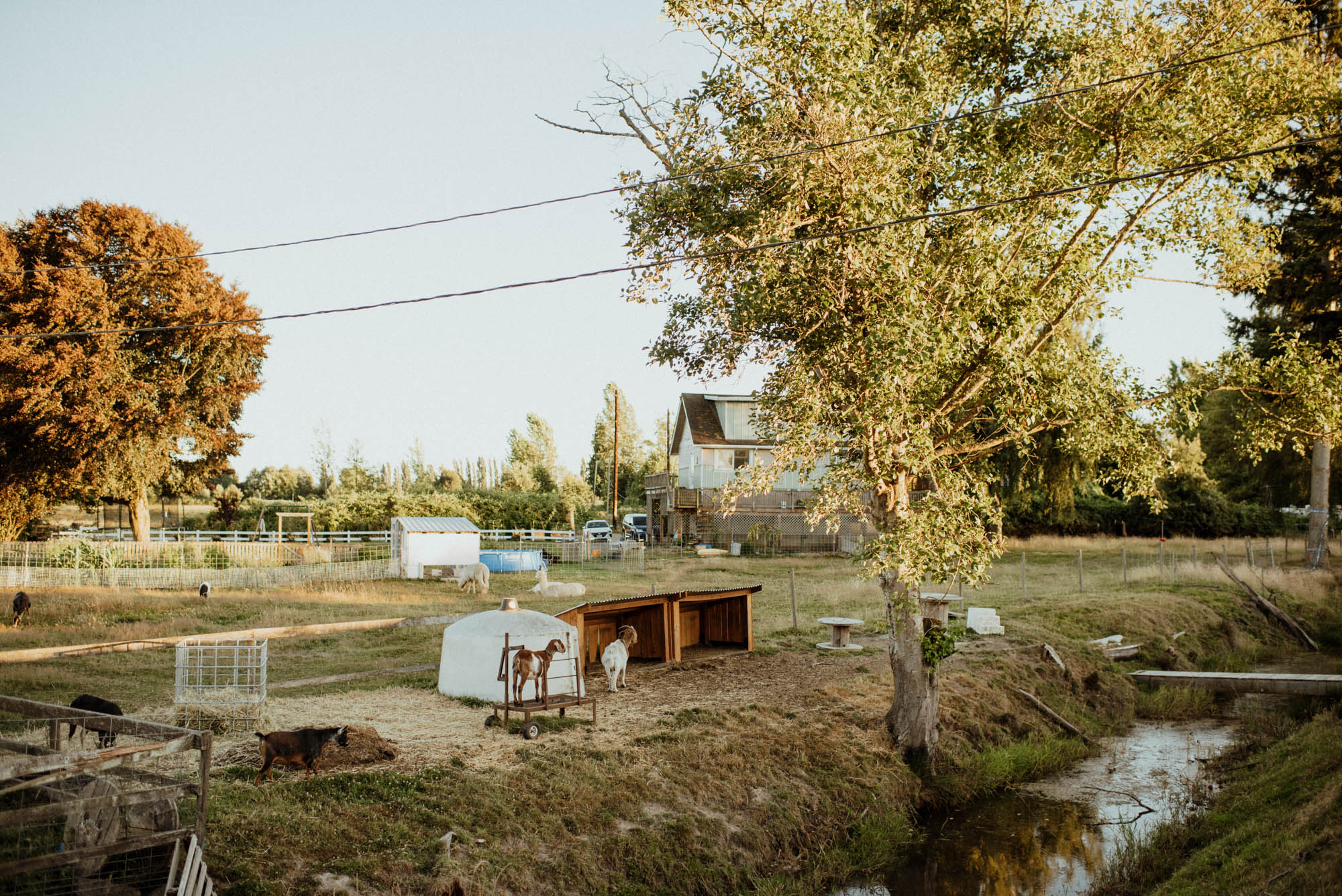 A view from the camping are of the home owners space. 