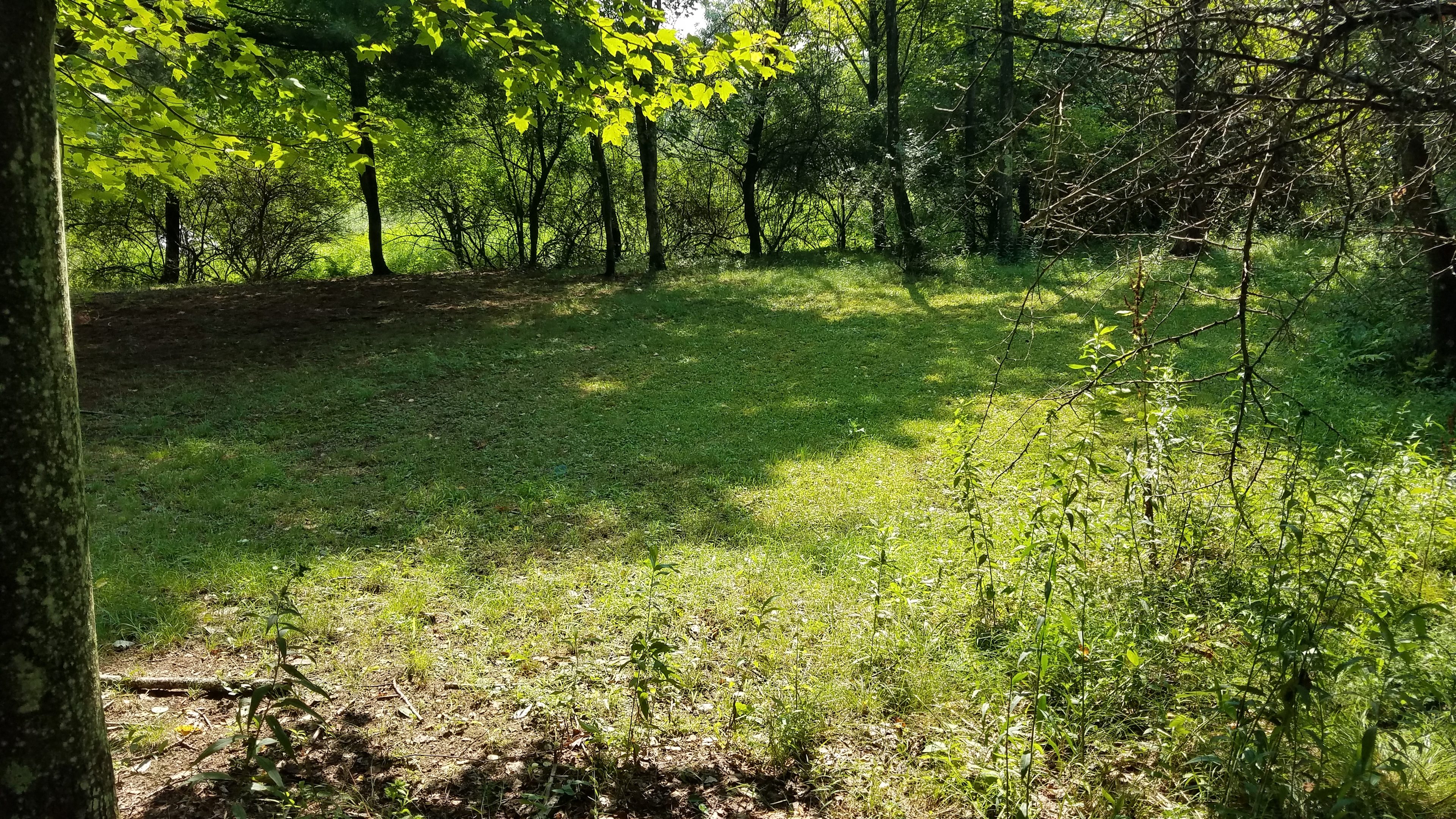 Pine Valley Alpacas
