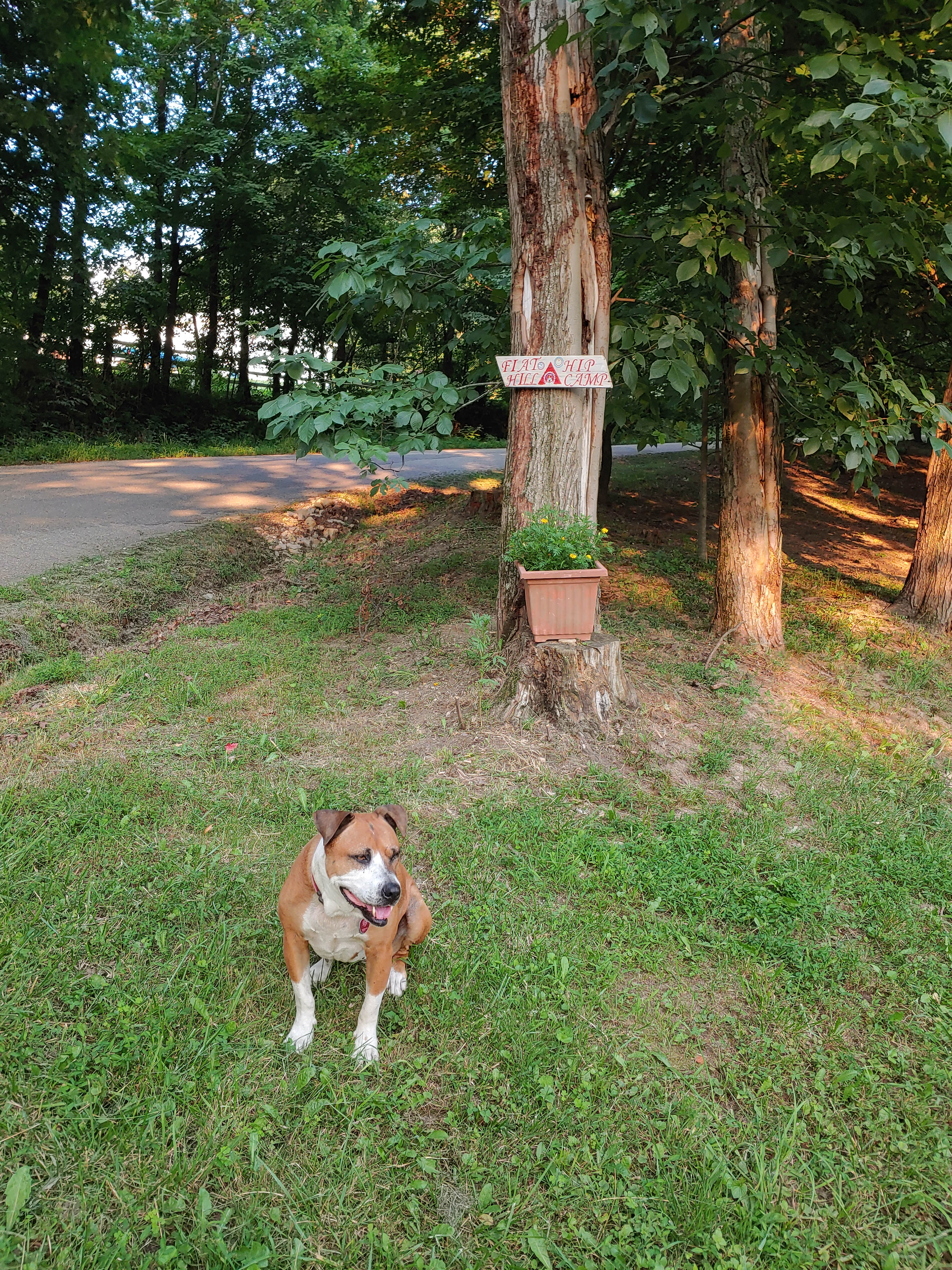 Breeze sitting at sign for camp going up the hill.
