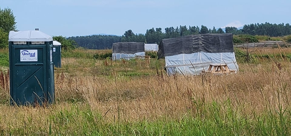 Shade cloth to the rescue