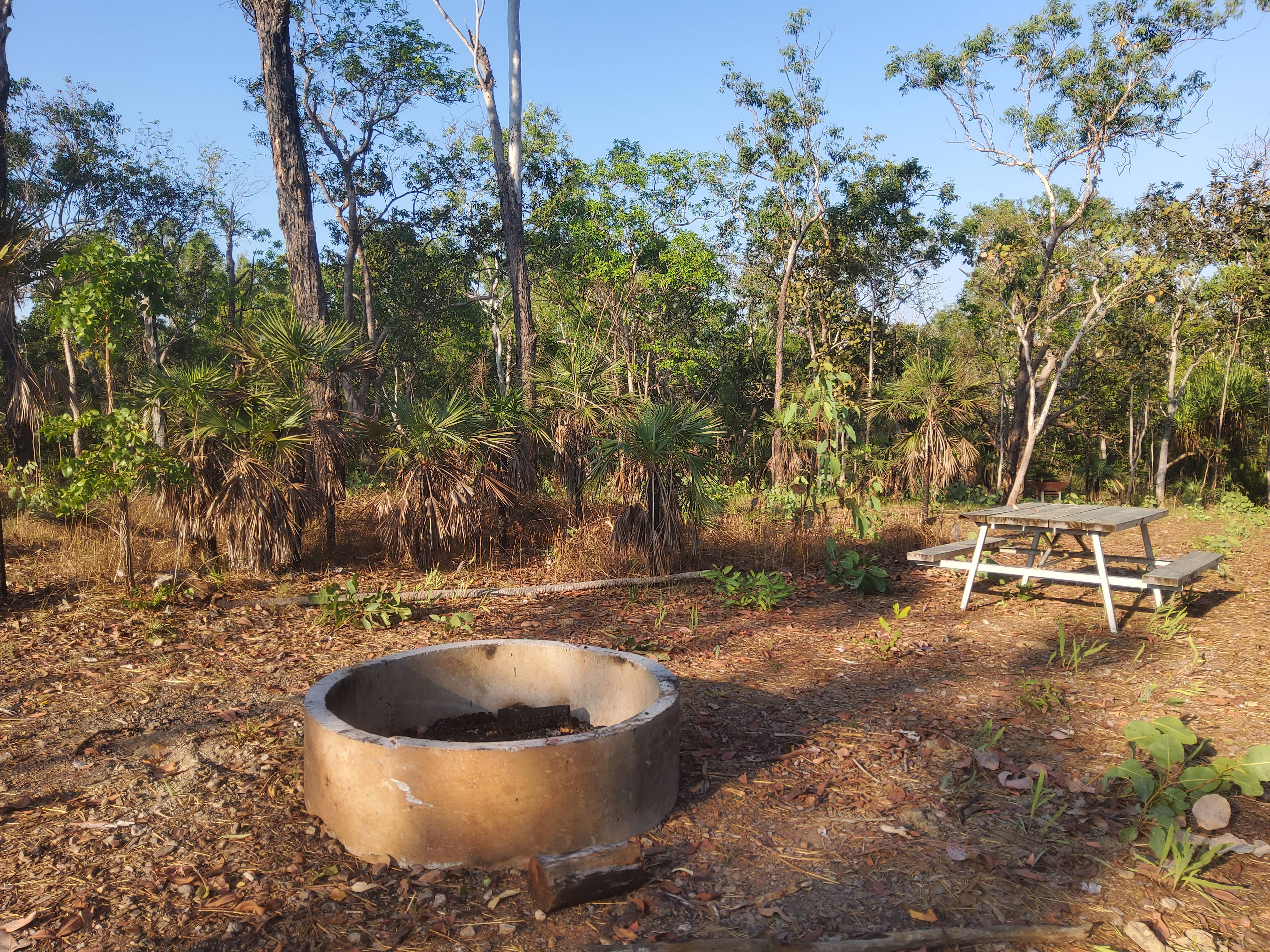 Large fire pit (bush TV) and picnic table.