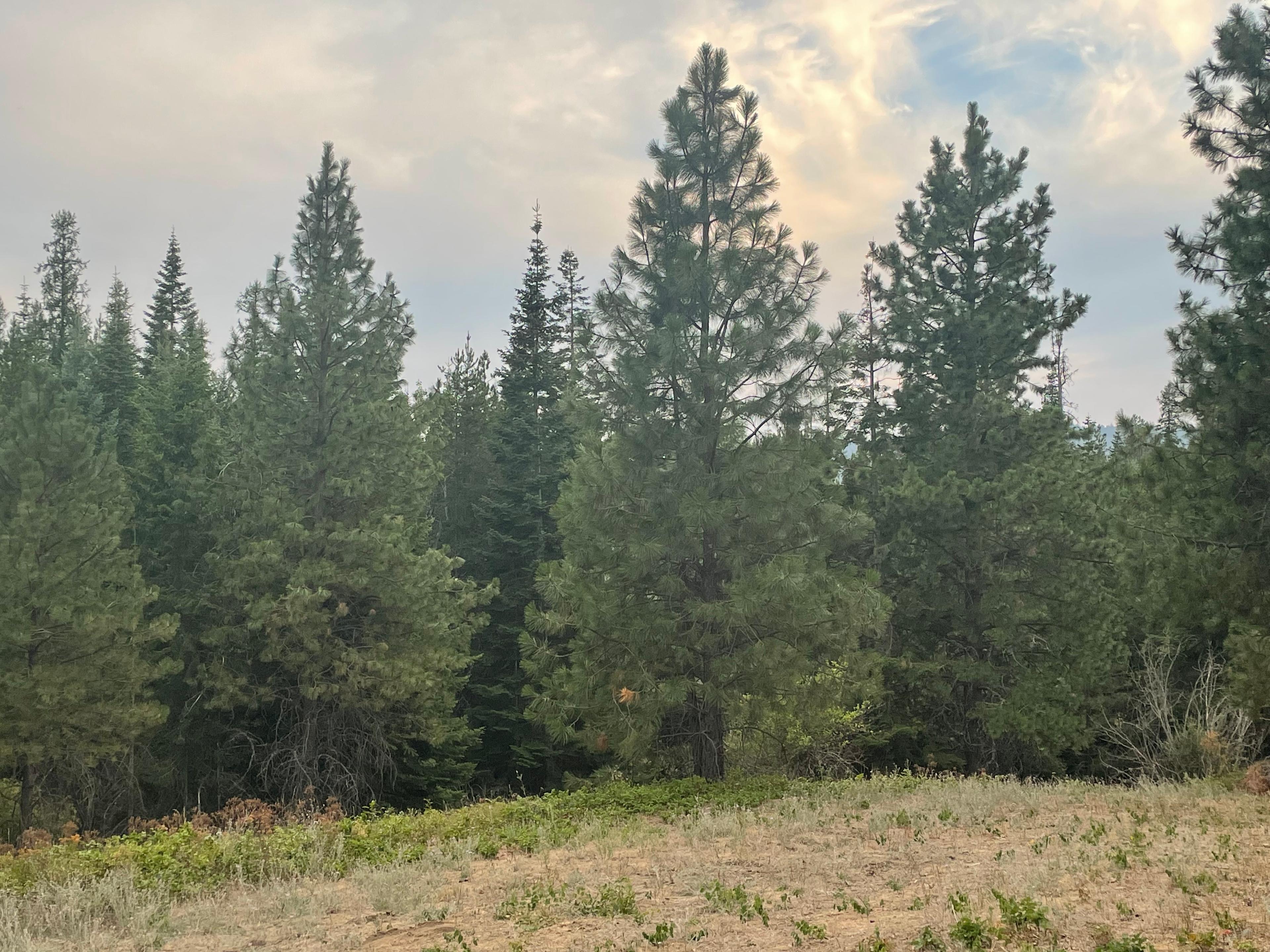 White’s Lodge Campground