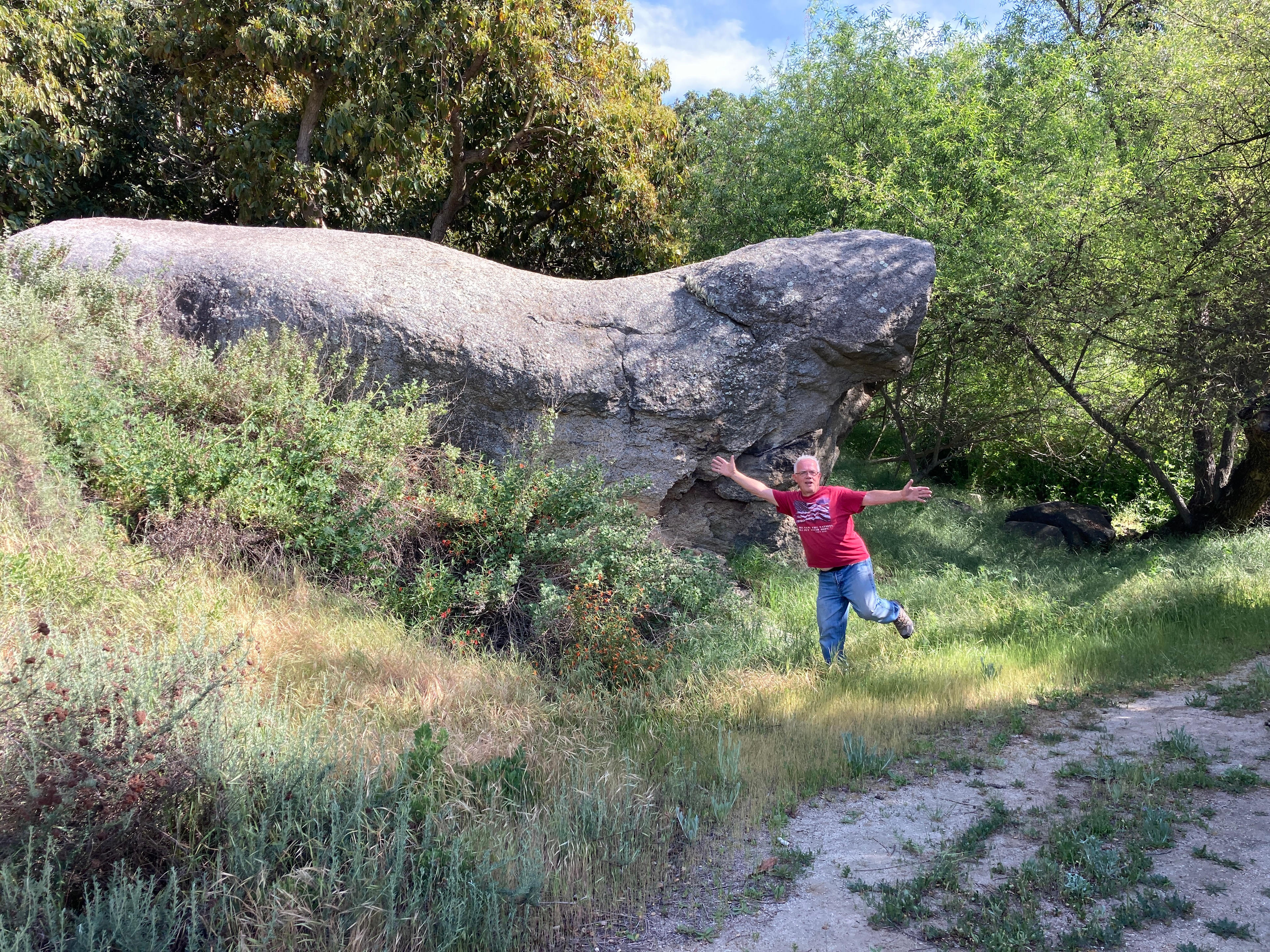 Avocado Farm Retreat