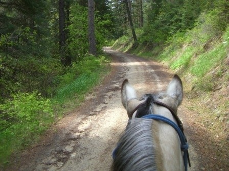 BnR Horse Ranch