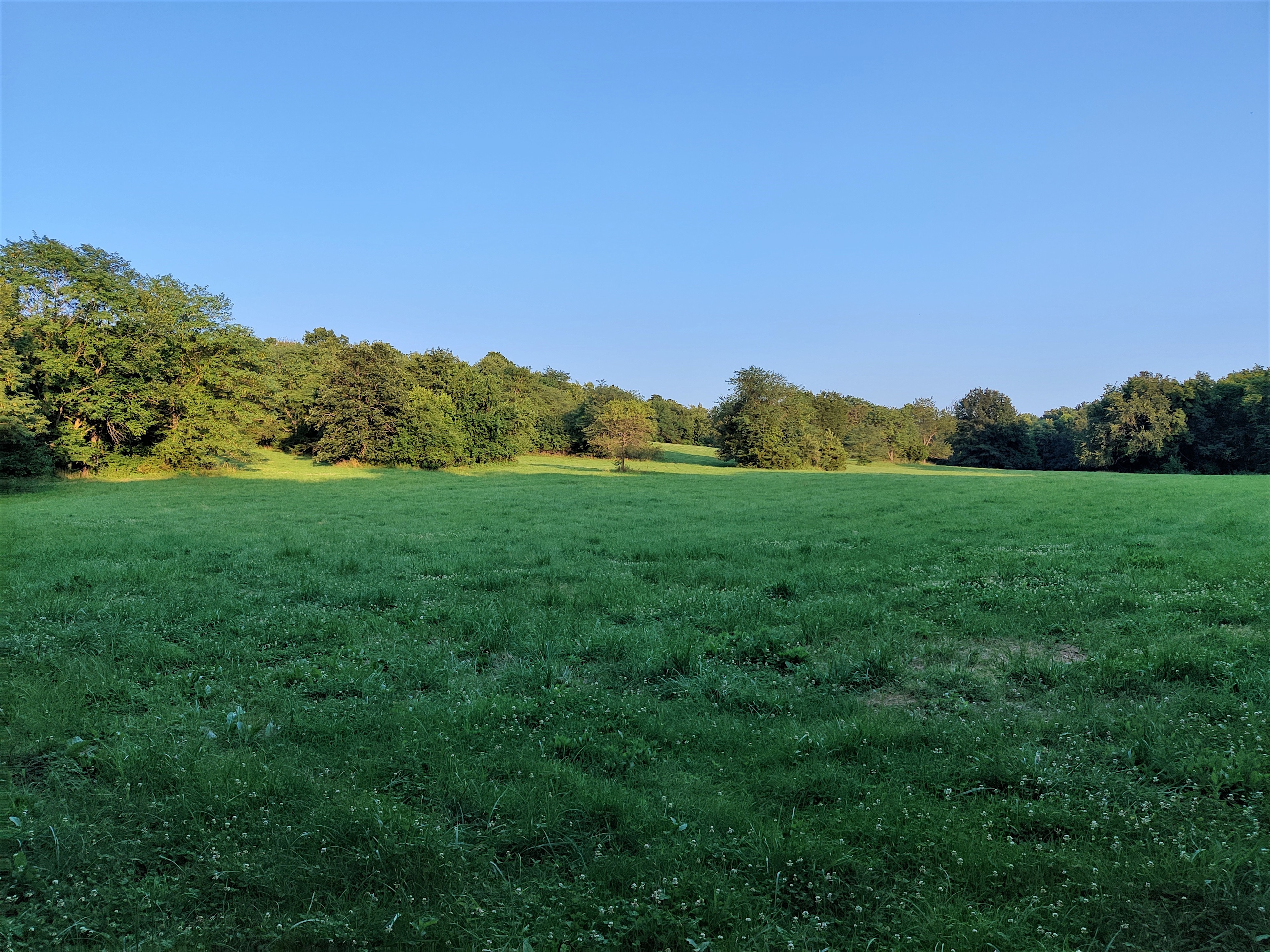 Milo Farm Sacred Land