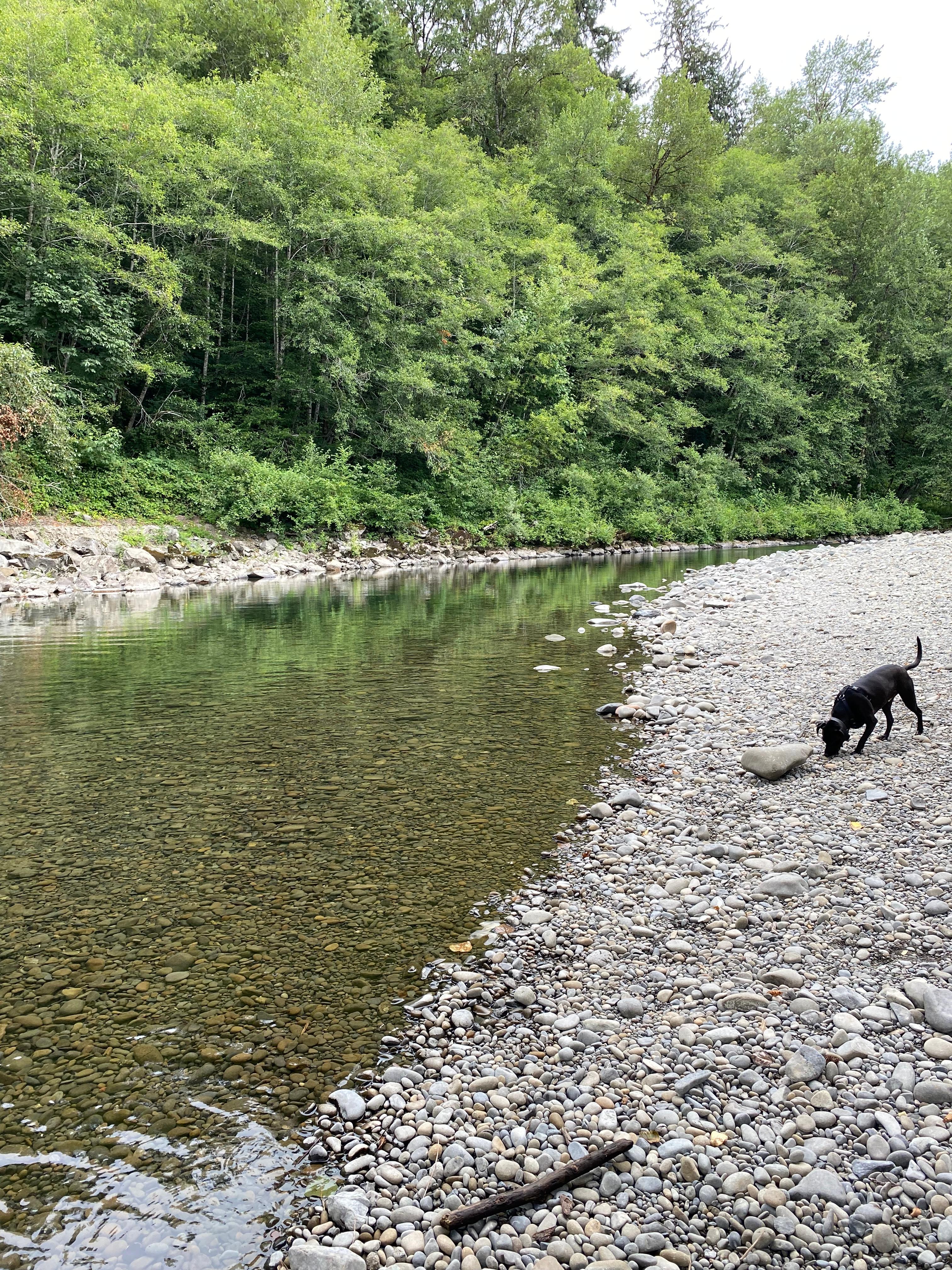 River near the campground