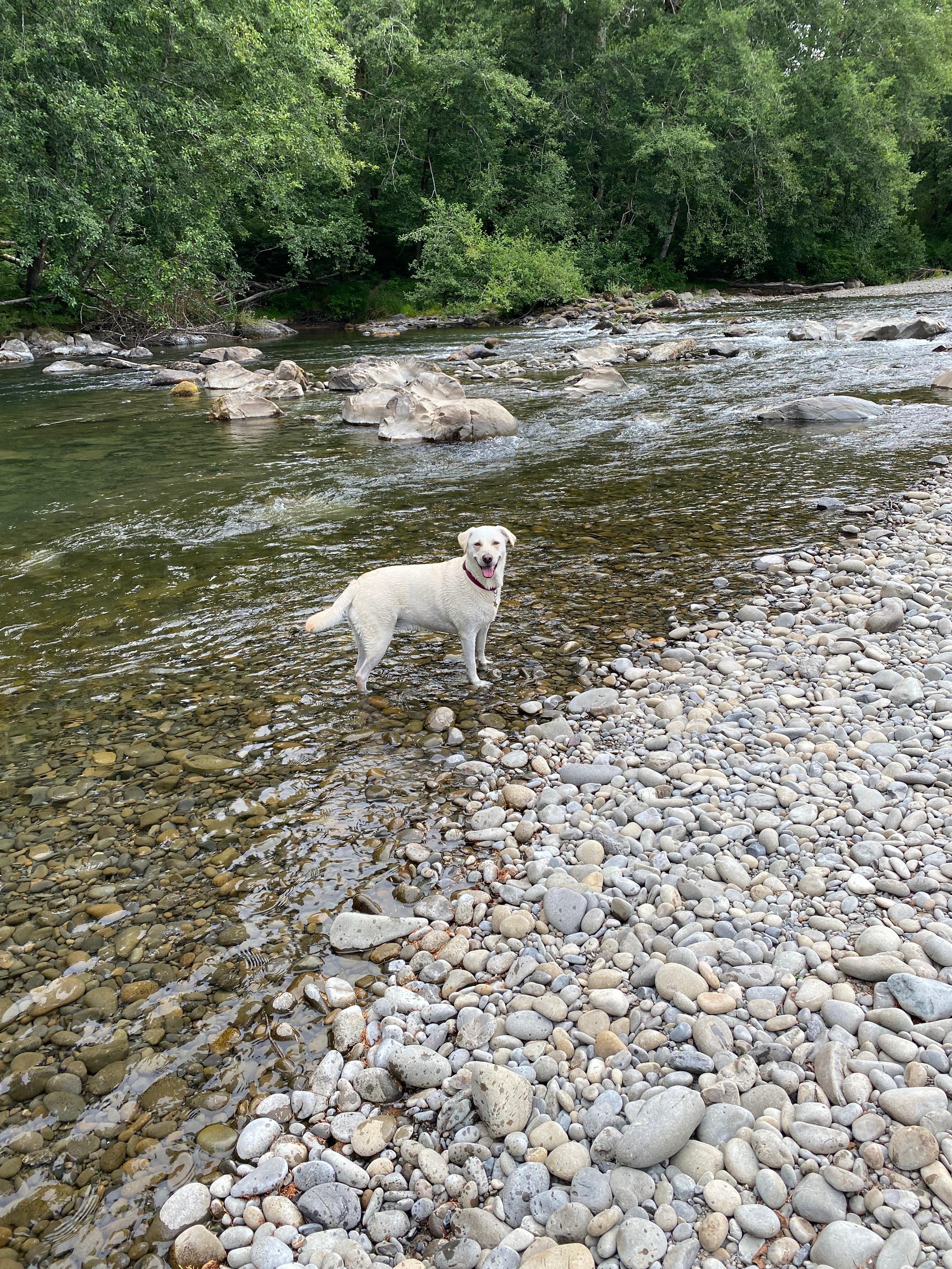 River near the campground 
