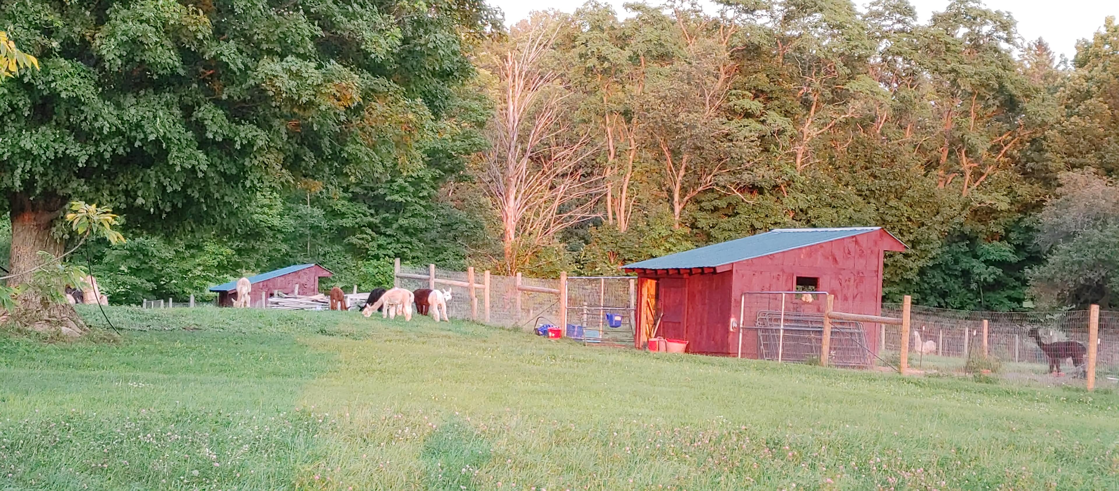 Dickensen Farm: Cabins & Camping