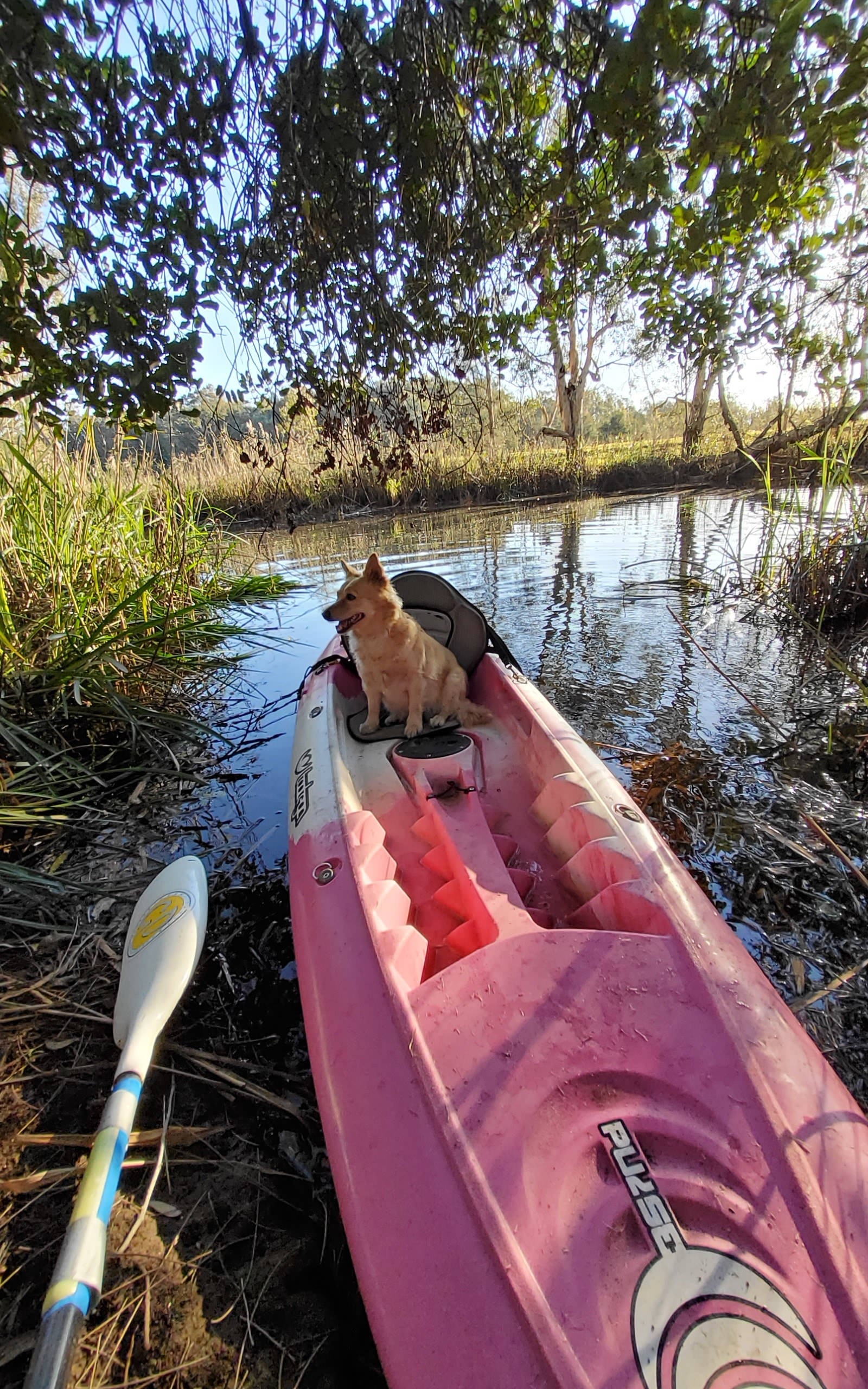The Kayak Inn - just opposite Gate 2