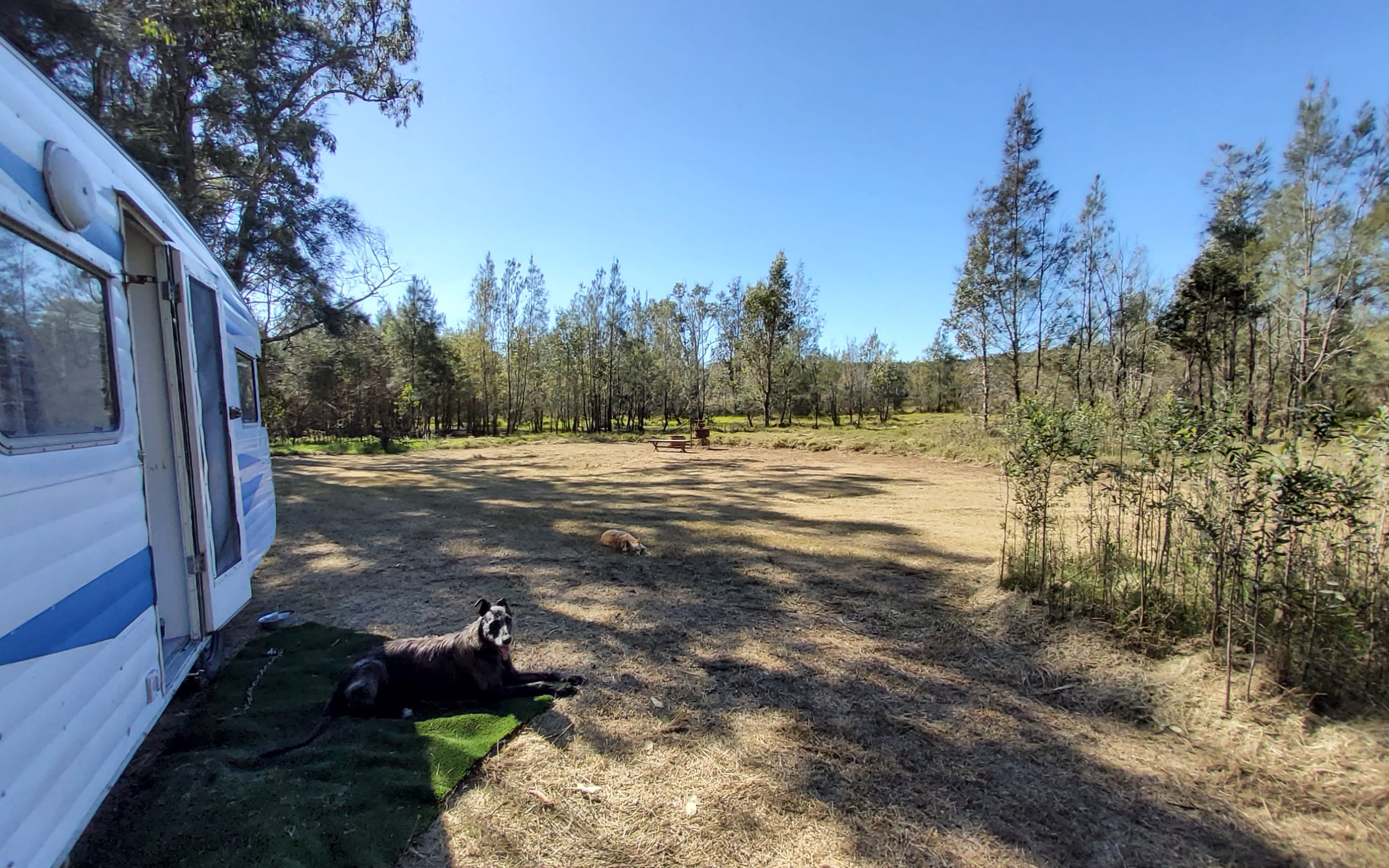 Three Creatures camp spot, perfect for everyone, tents, campers, motorhomes and caravans