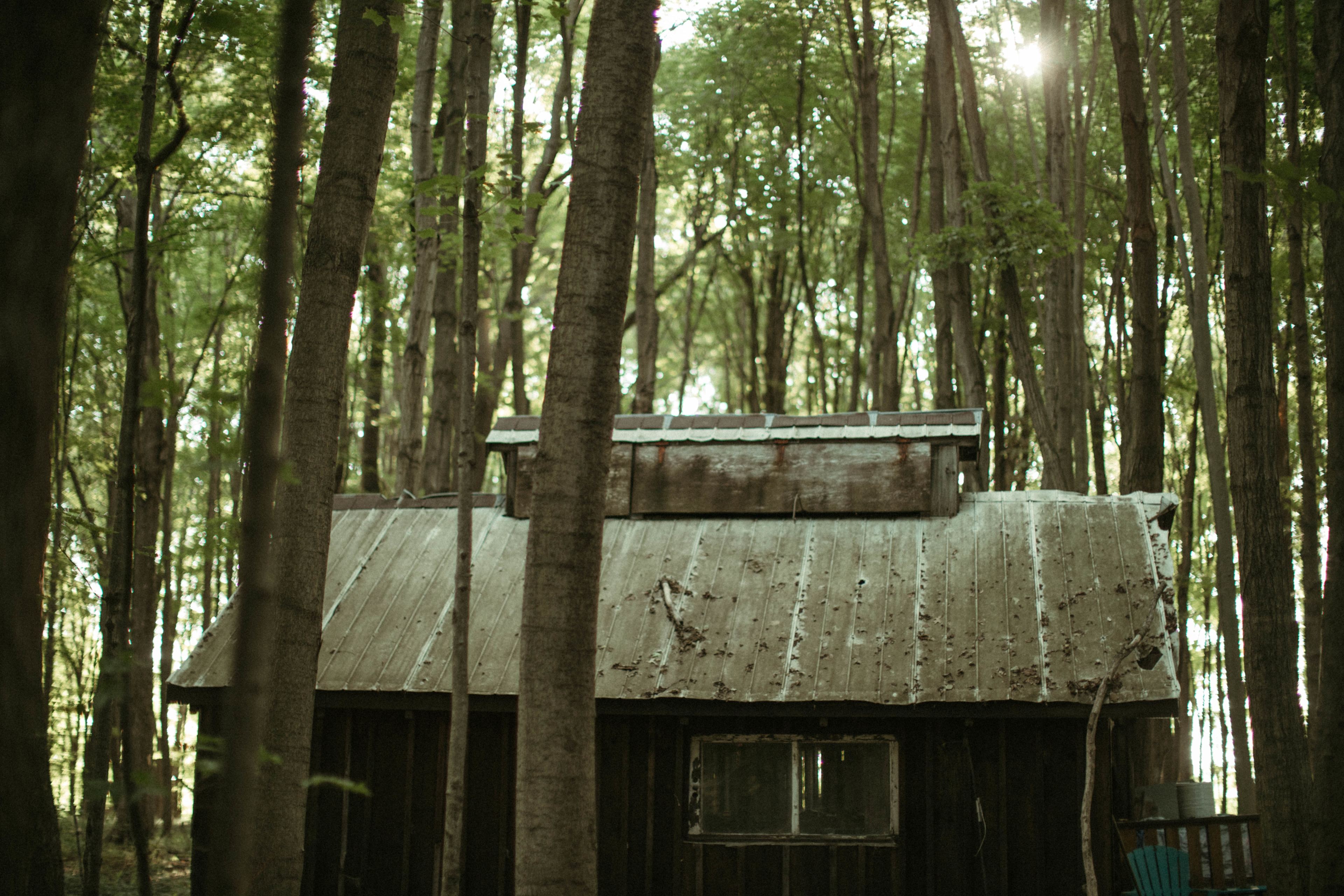 The sugar shack looked perfectly tucked away in the woods.