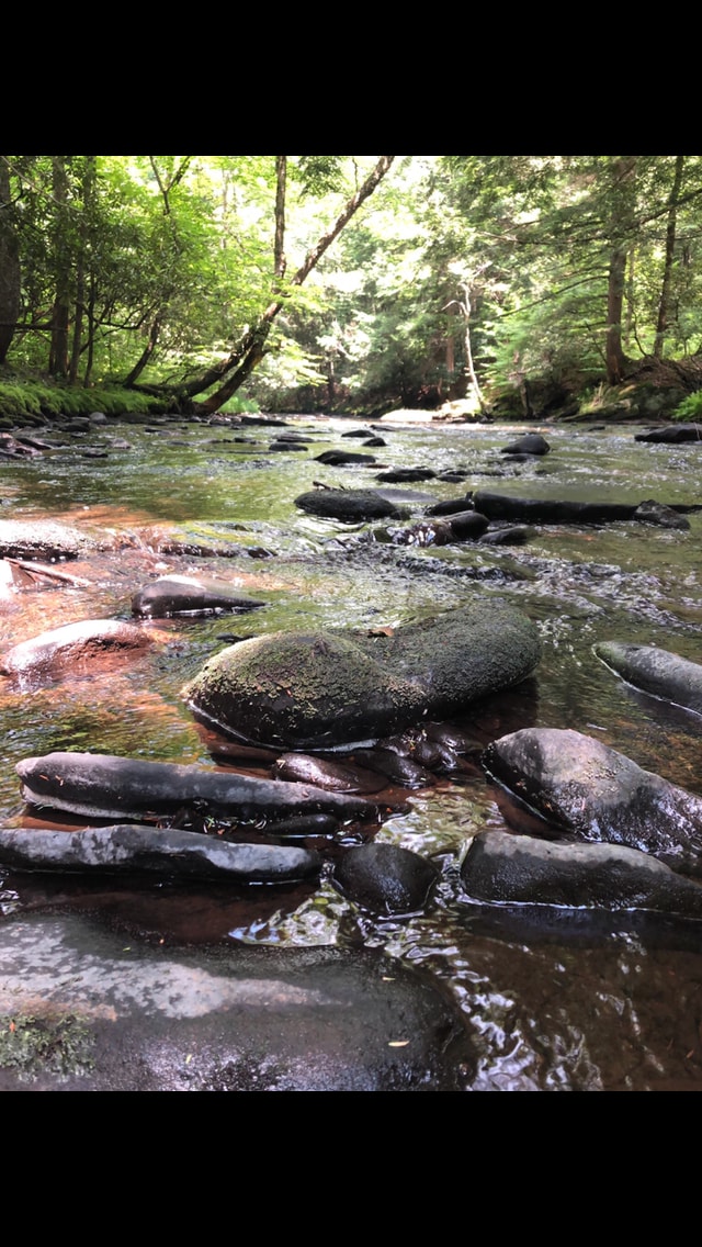 TainoWoods Fairy Magical Sweet Land