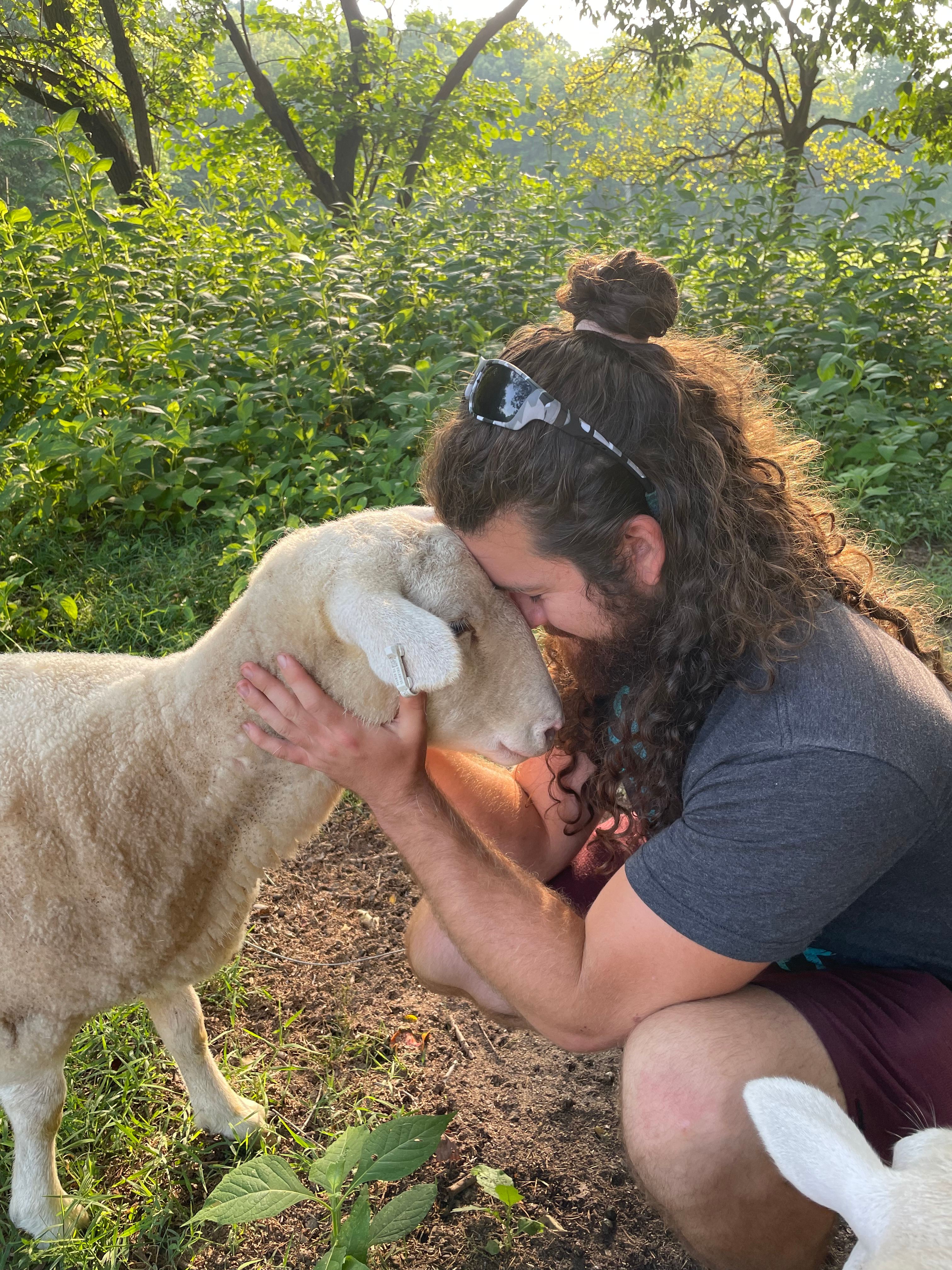 Brookhaven Mill Farm