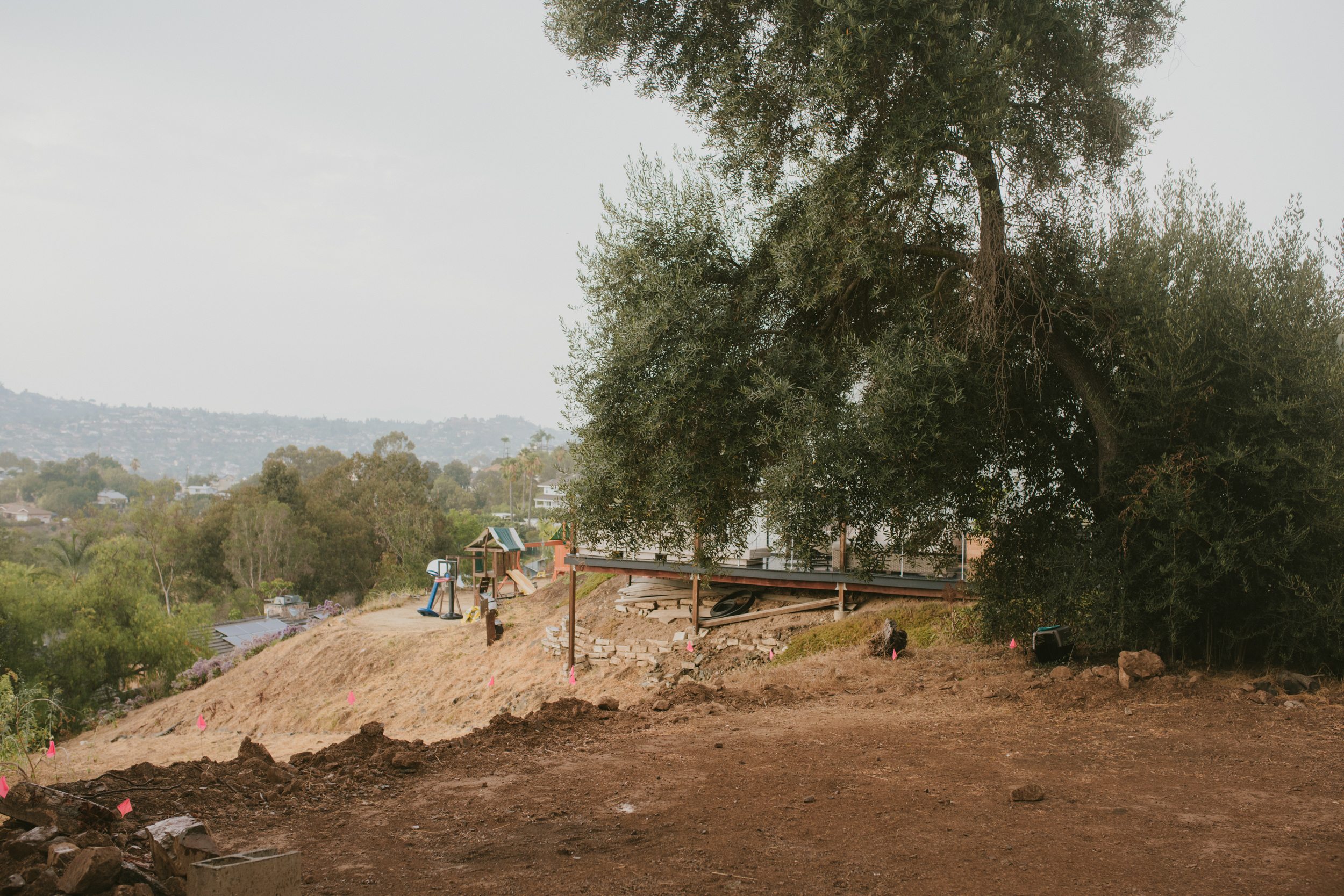 The camping area. 