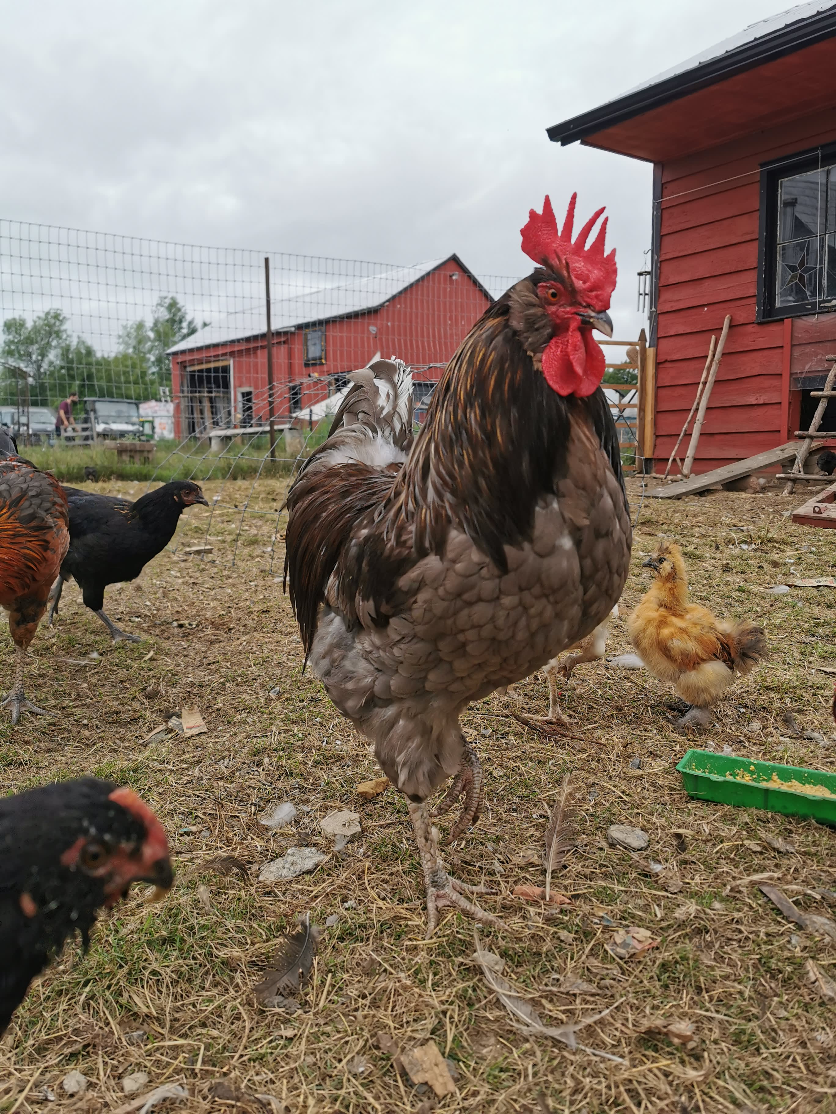 The meditation project